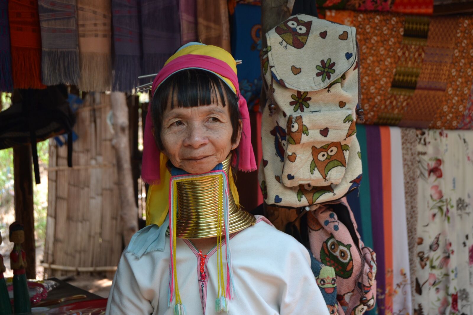 Nikon D3100 sample photo. Women, female giraffe, padaung photography