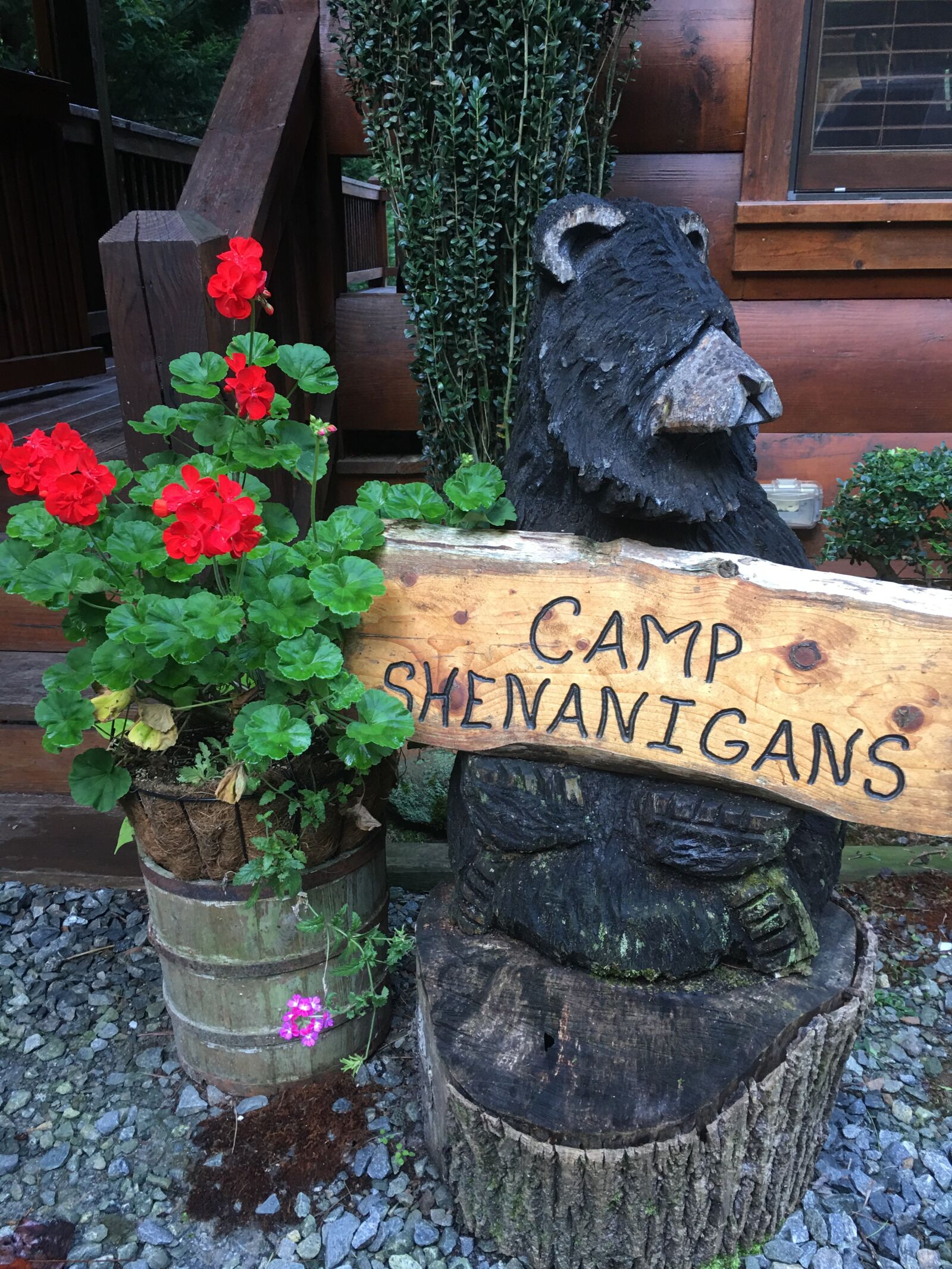 iPhone 6s Plus back camera 4.15mm f/2.2 sample photo. Shenanigans, bears, flowers photography