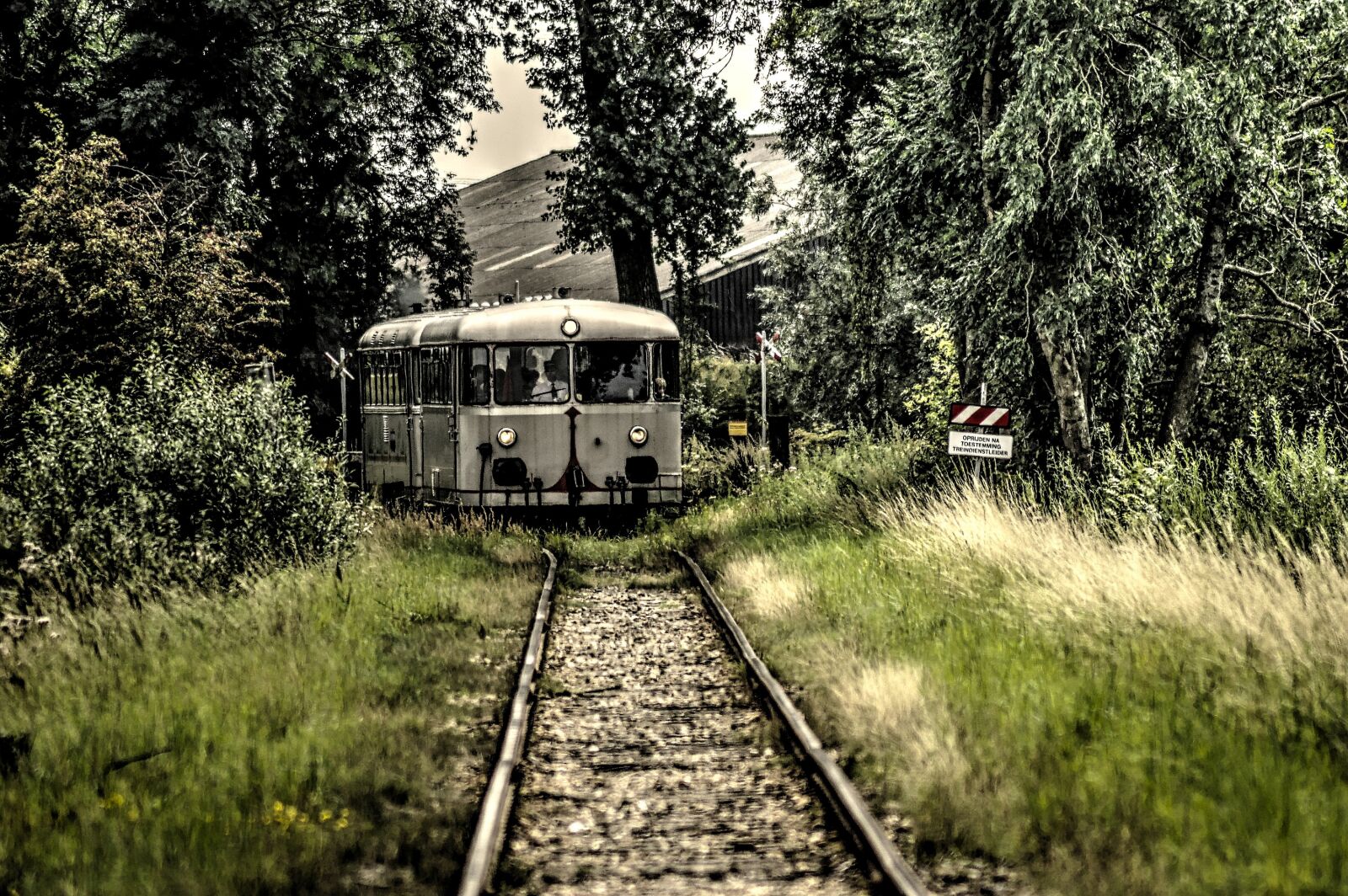 Nikon D3200 sample photo. Railbus, train, track photography