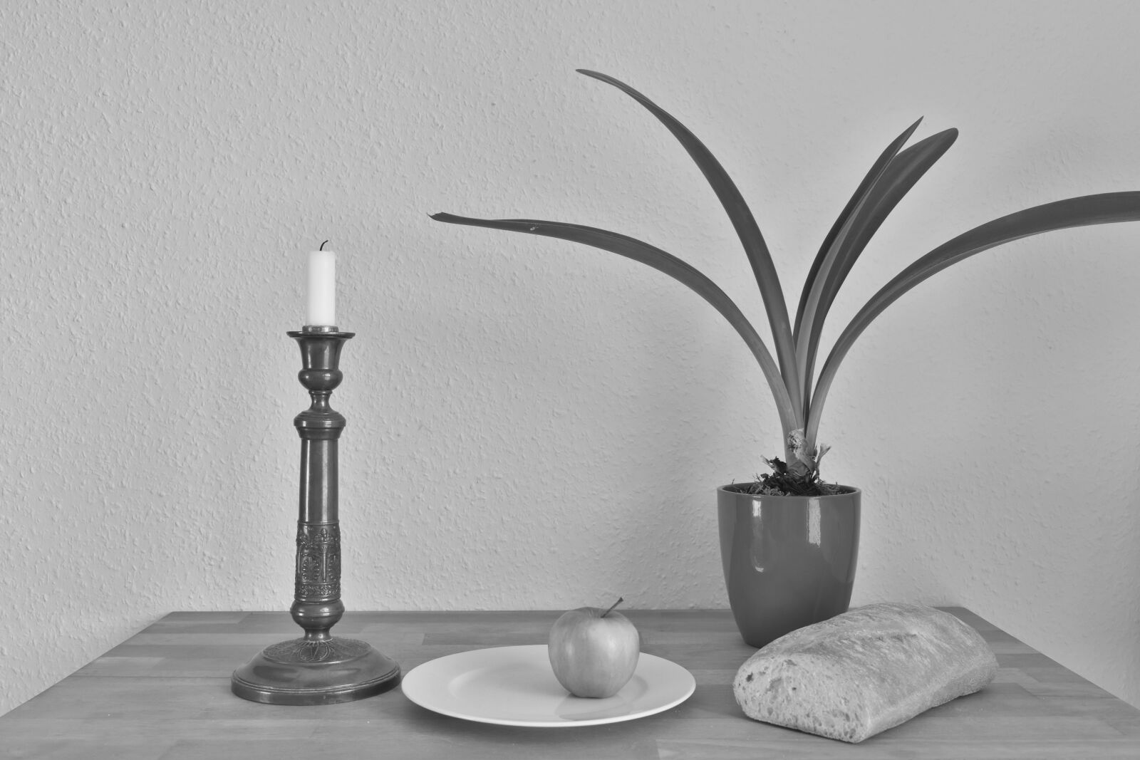 Nikon D5600 sample photo. Still life, candle, plant photography