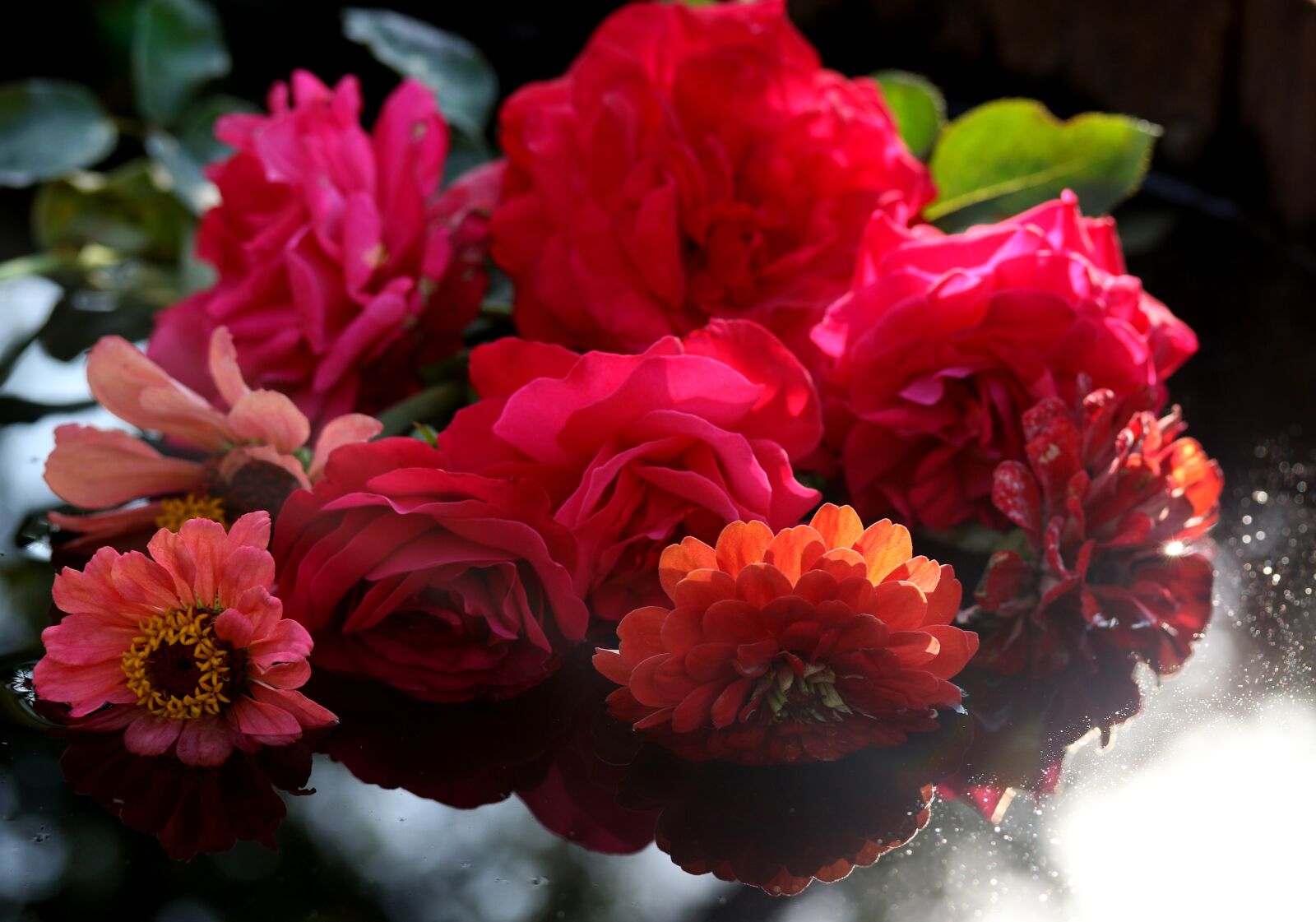 Canon EF-S 60mm F2.8 Macro USM sample photo. Roses, flowers, bouquet photography