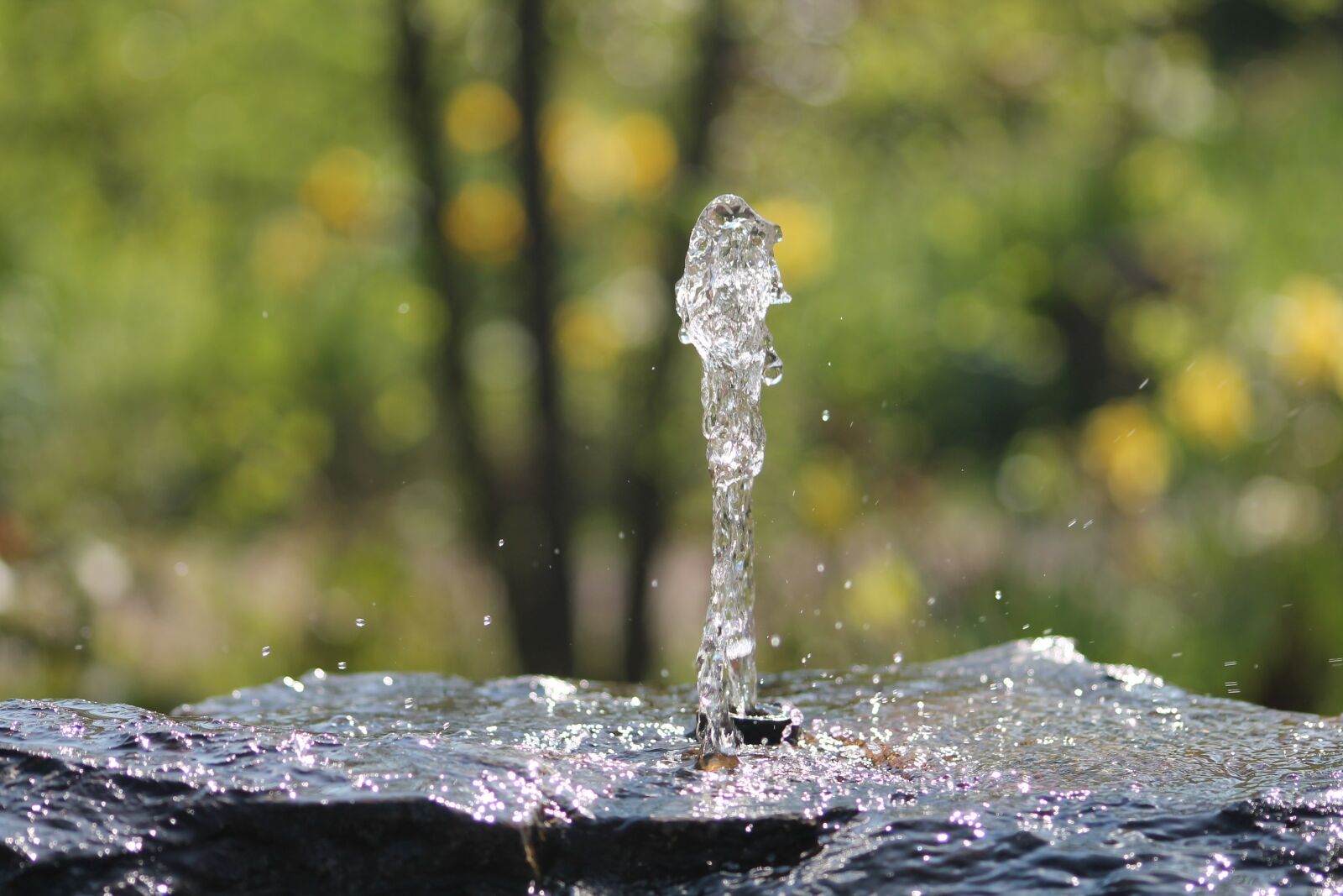 Canon EOS 1100D (EOS Rebel T3 / EOS Kiss X50) sample photo. Fountain, water, summer photography