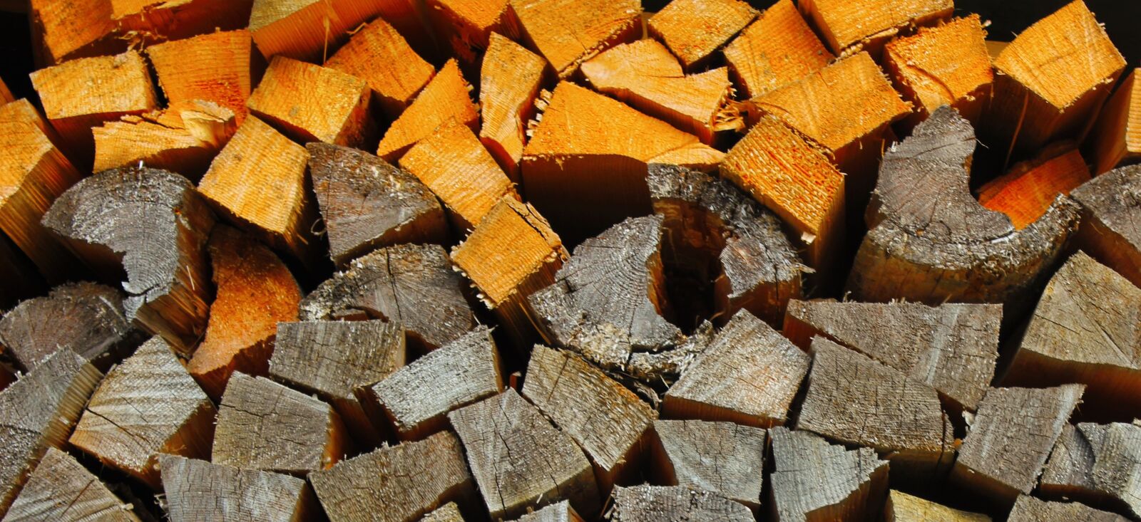 Canon EOS 100D (EOS Rebel SL1 / EOS Kiss X7) sample photo. Section, resource, firewood photography