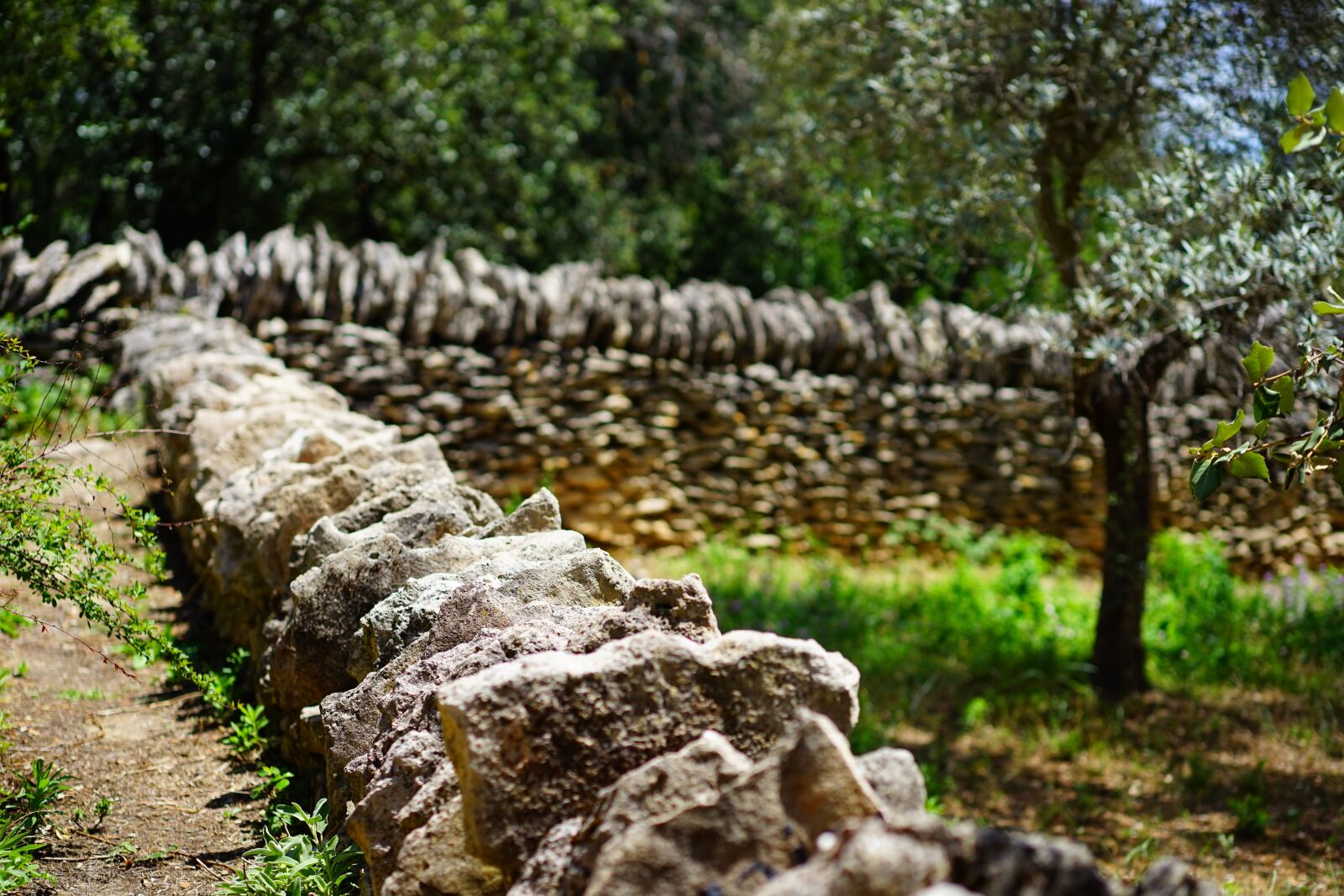 Sony a7 + Sony Sonnar T* FE 55mm F1.8 ZA sample photo. Wall, stone wall, masonry photography