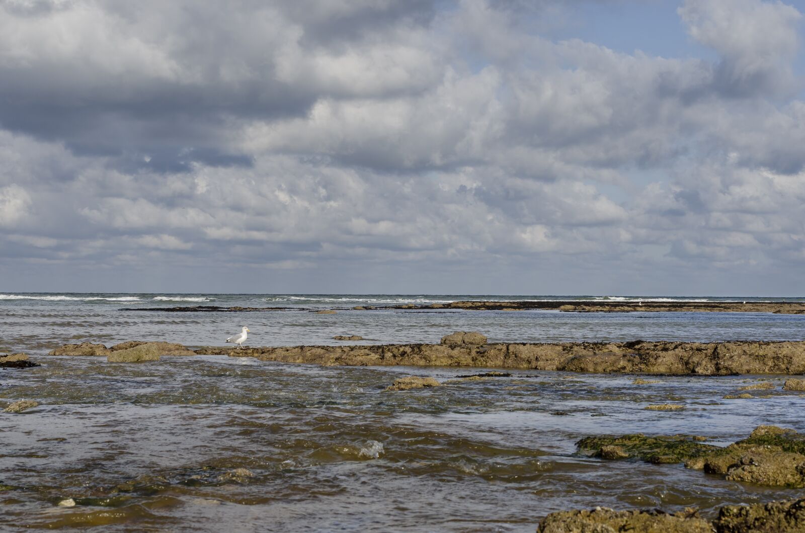 Nikon D7000 sample photo. Landscape, sea, rock photography