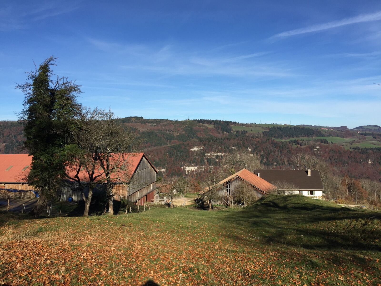 iPhone 6 Plus back camera 4.15mm f/2.2 sample photo. Homestead, jura, meadow photography