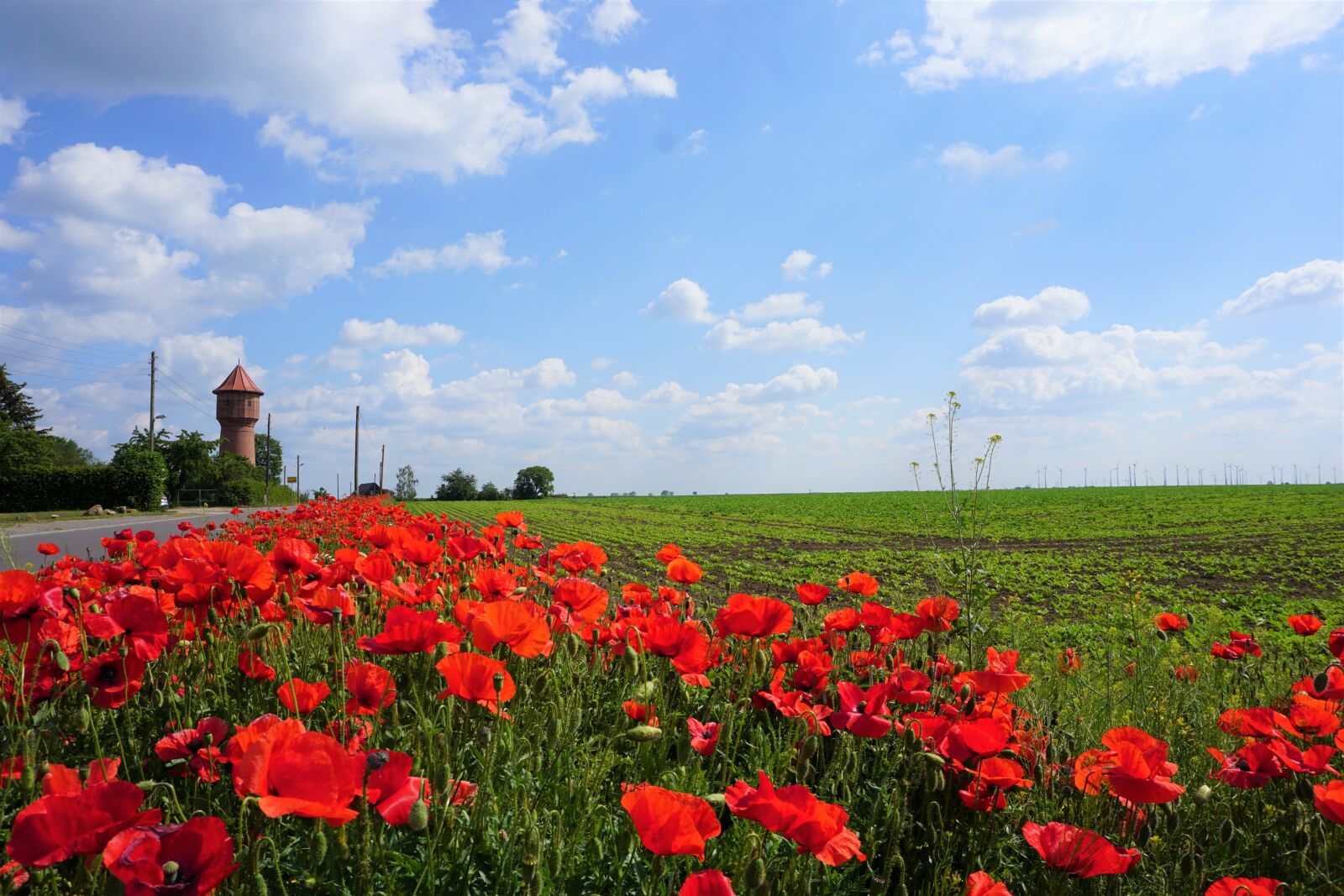 Sony a6000 sample photo. Tower, landscape, sky photography