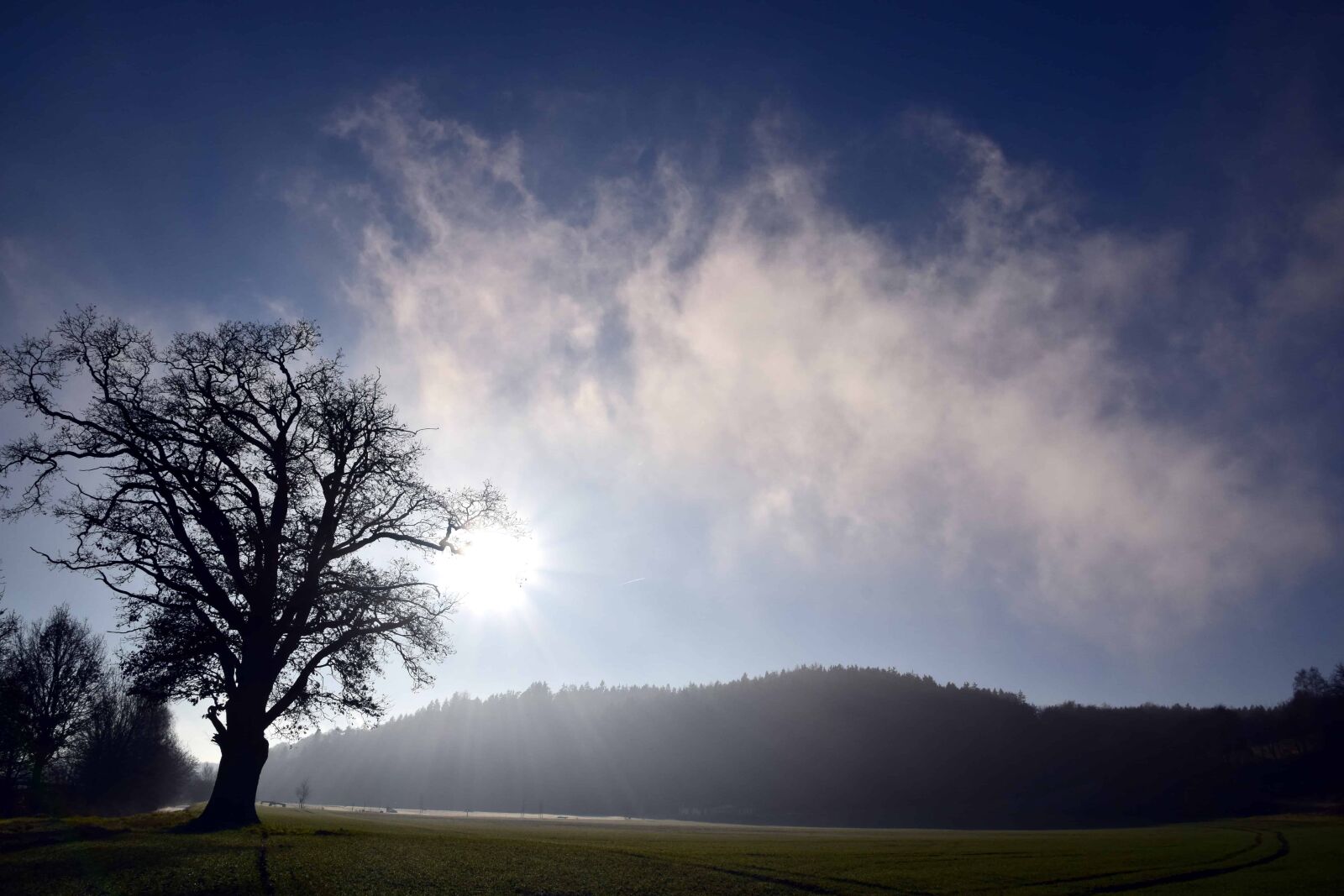 Nikon D3300 sample photo. Nature, landscape, tree, dawn photography