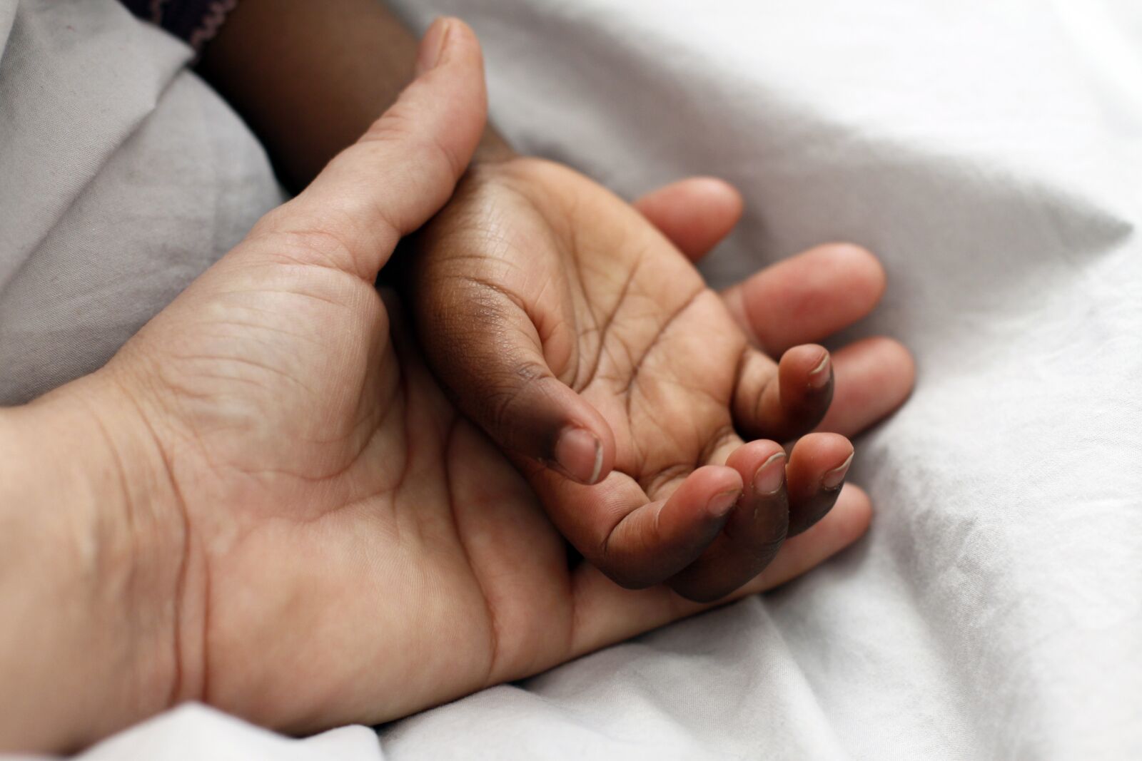 Canon EOS 500D (EOS Rebel T1i / EOS Kiss X3) sample photo. Hands, adoption, adopt photography