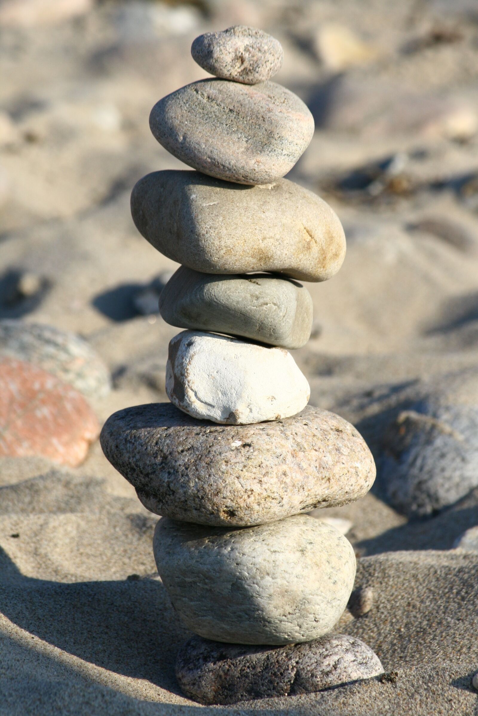 Canon EOS 400D (EOS Digital Rebel XTi / EOS Kiss Digital X) sample photo. Beach, stones, play photography