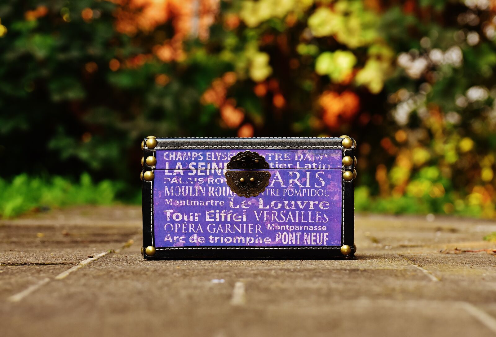 Nikon D7200 sample photo. Chest, box, castle photography