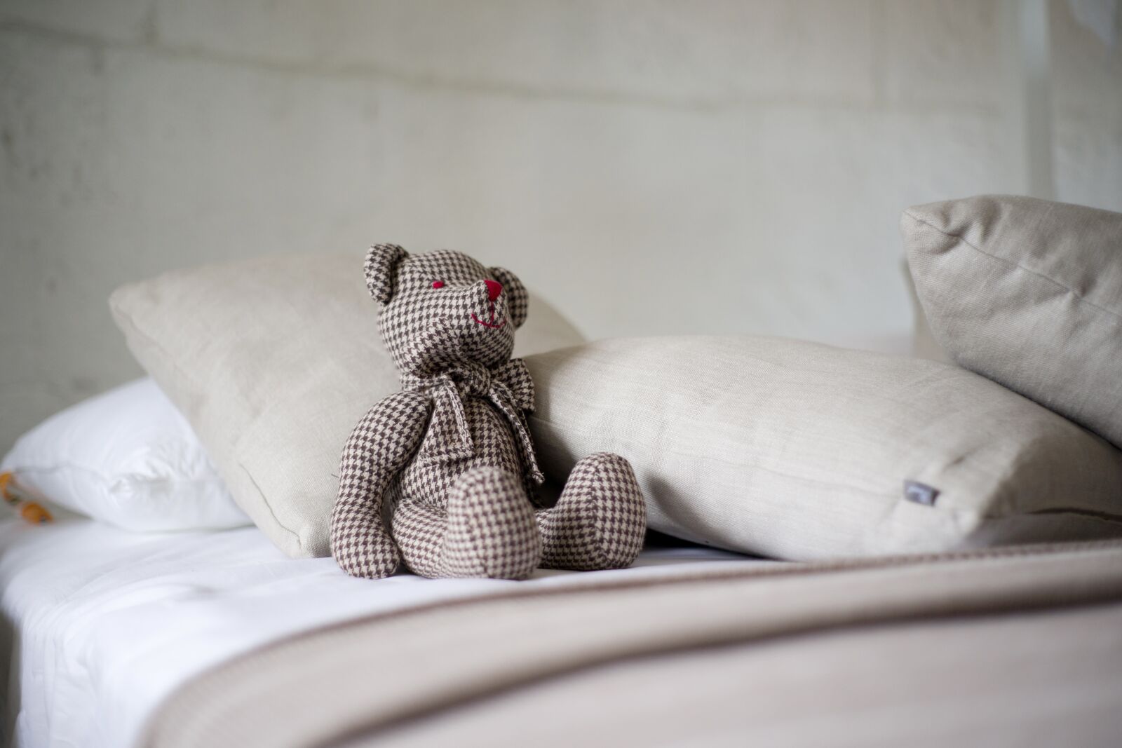 Sony Alpha DSLR-A850 sample photo. Bear, toy, cute photography