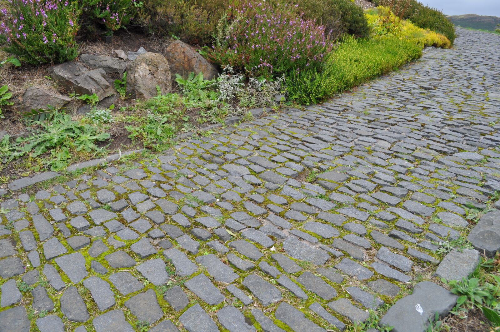 Nikon D5000 sample photo. Cobblestone, path, scotland photography