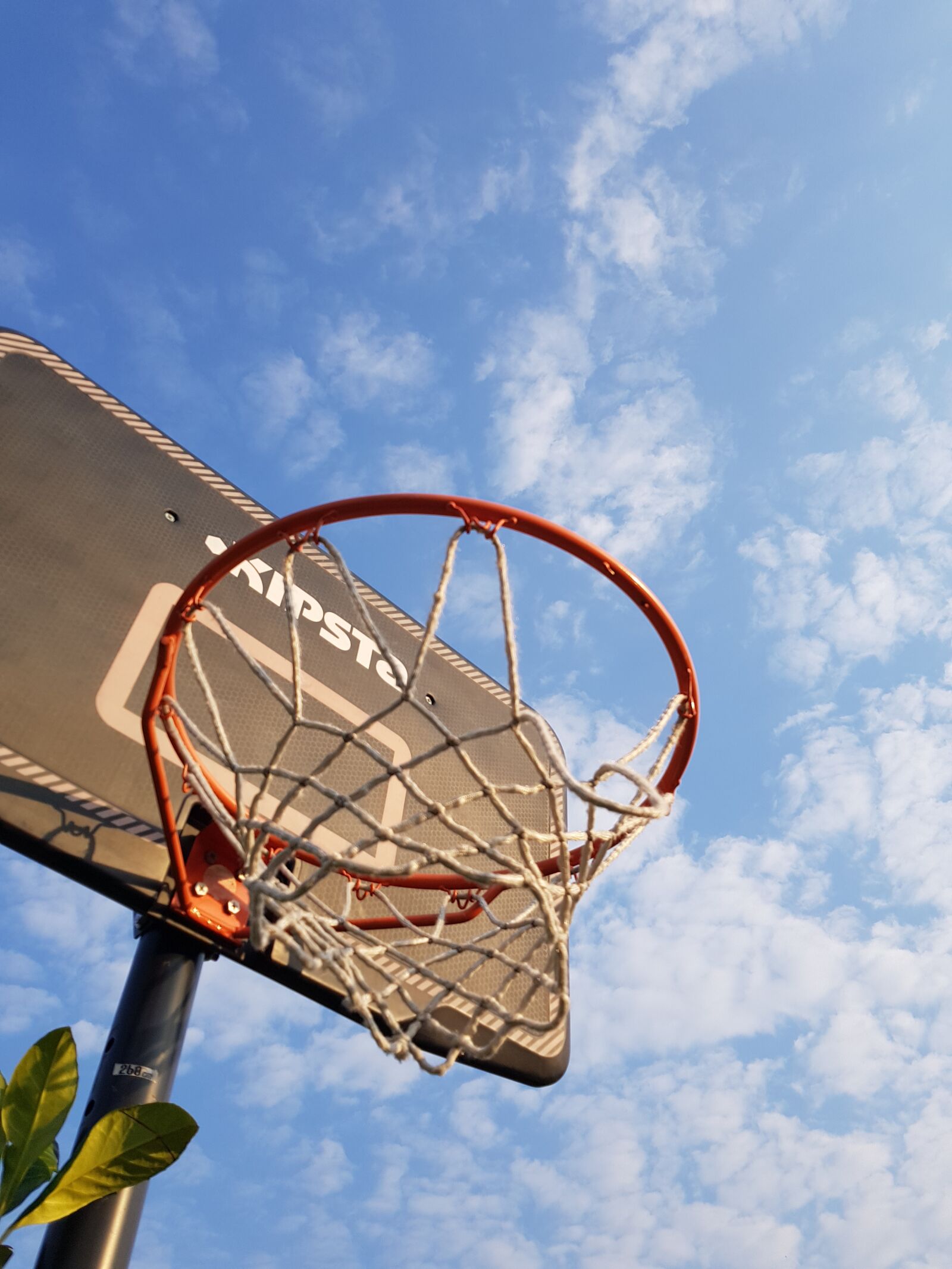 Samsung Galaxy S8 sample photo. Basketball, summer sky, free photography
