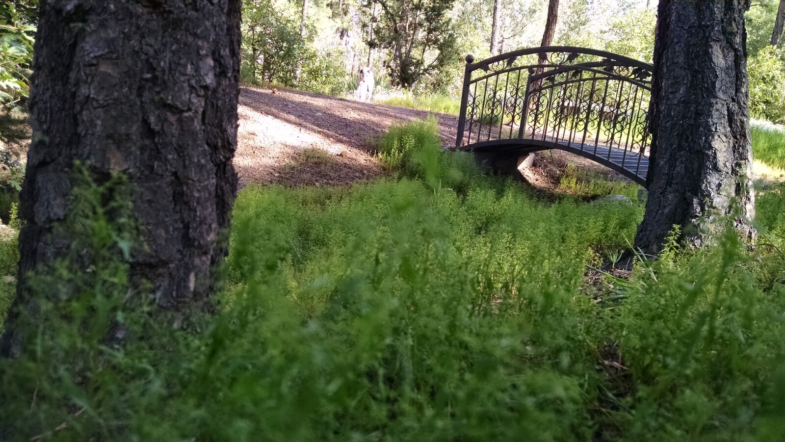Motorola XT1080 sample photo