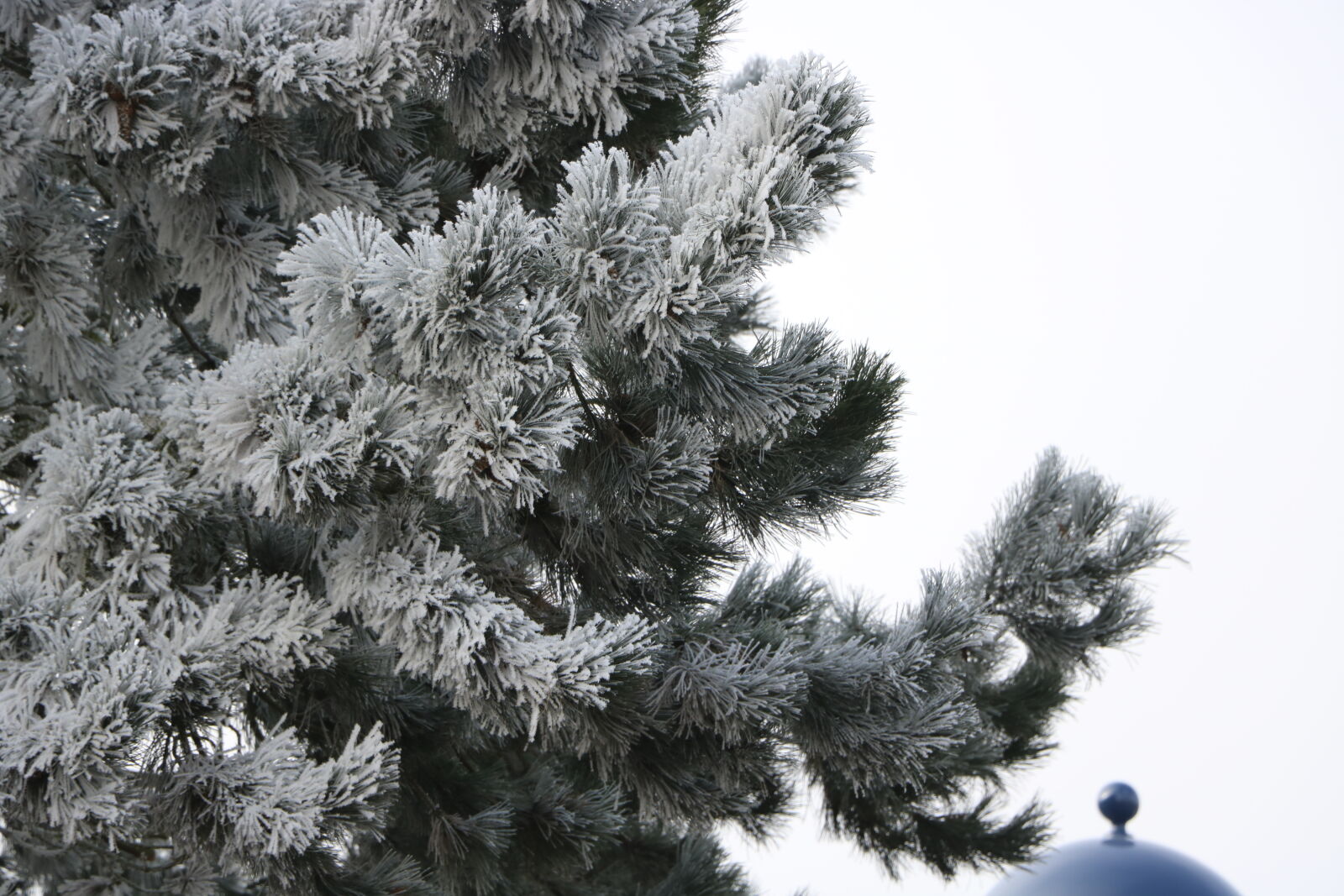 Canon EOS 760D (EOS Rebel T6s / EOS 8000D) sample photo