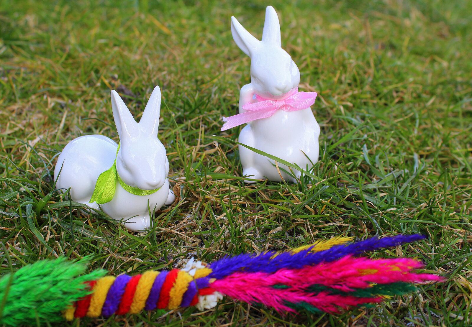 Canon EOS 1200D (EOS Rebel T5 / EOS Kiss X70 / EOS Hi) sample photo. Bunnies, hare, easter palm photography