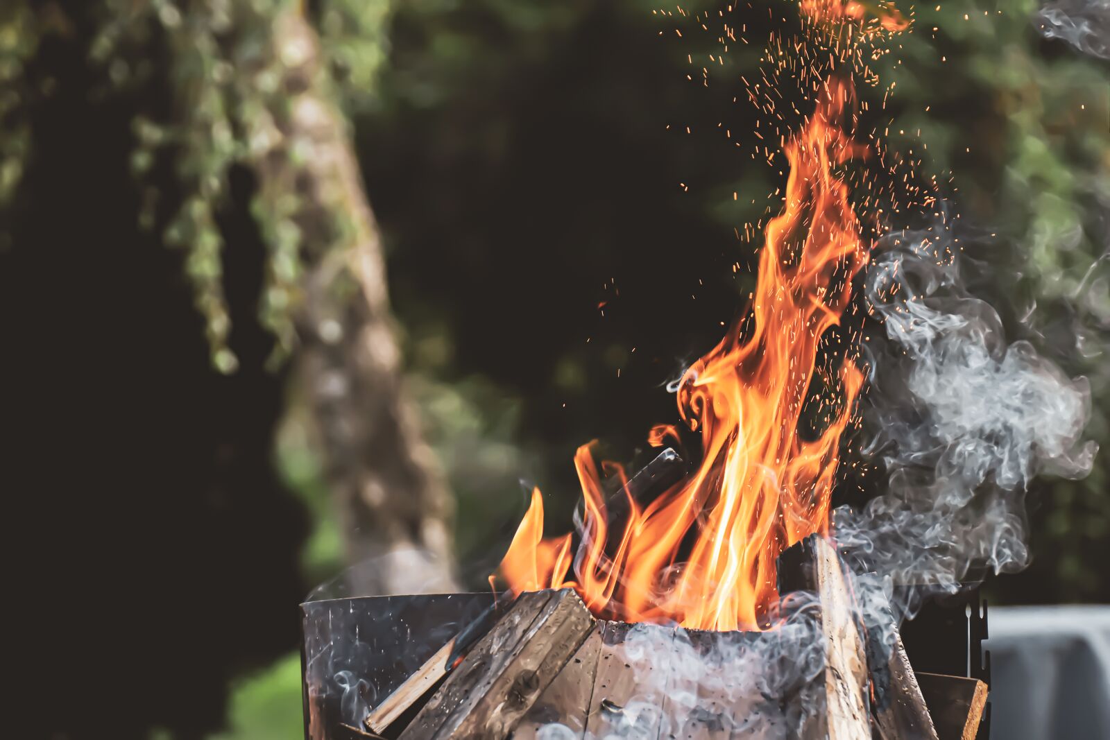 Nikon D7200 sample photo. Fire, wood, burn photography