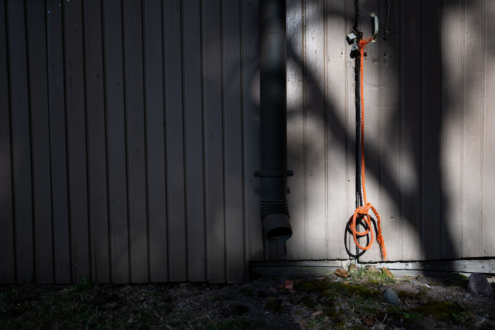 Nikon Nikkor Z 20mm F1.8 S sample photo. Morning rope photography