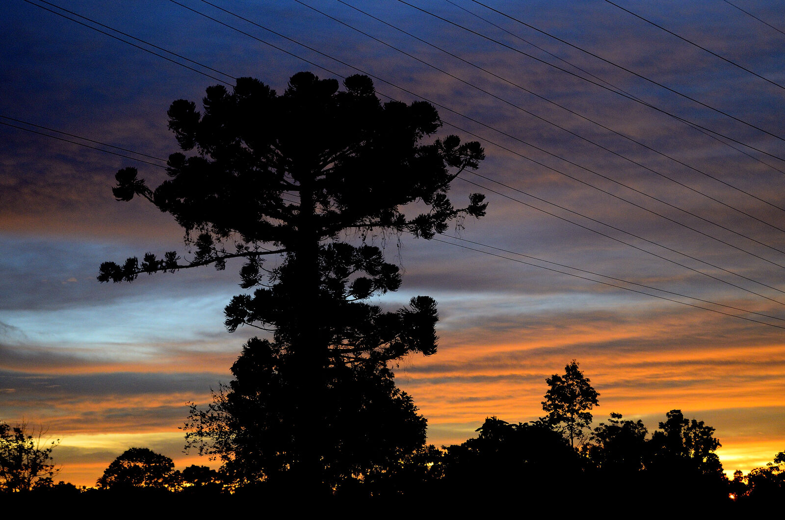 Nikon D5100 sample photo