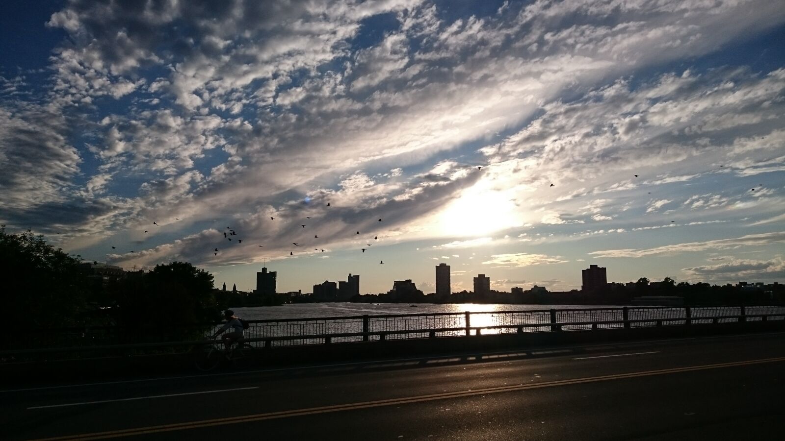 Sony Xperia Z3 sample photo. Bridge, birds, skyline photography