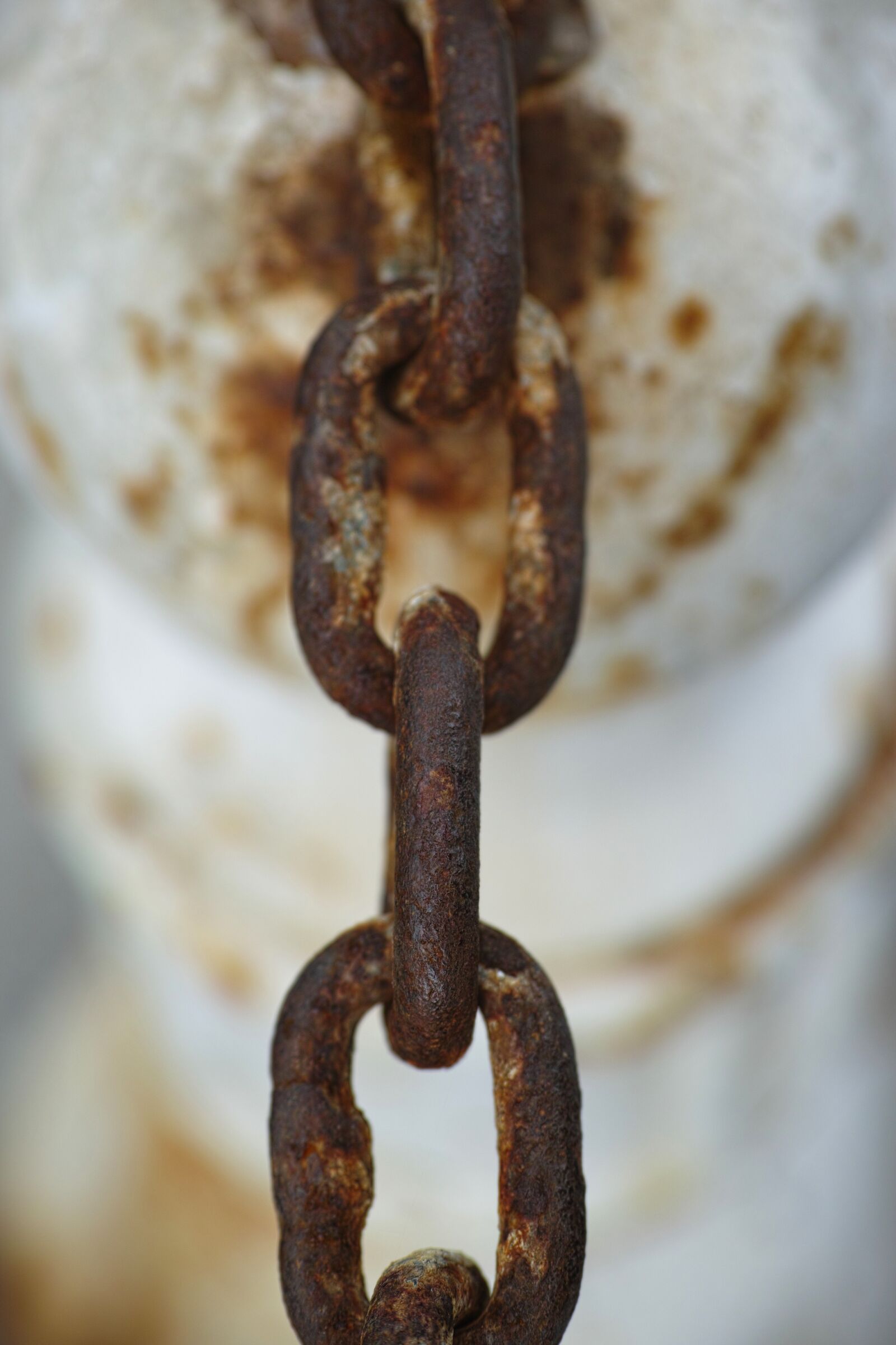 Sigma DP3 Merrill sample photo. Chain, rusty, detail photography