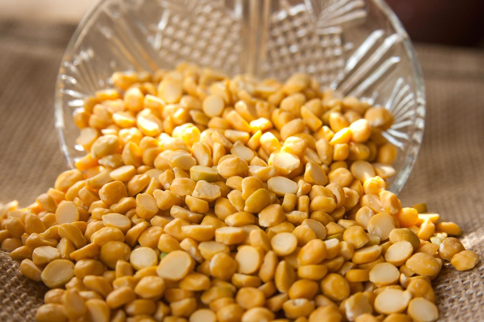 Canon EOS 1000D (EOS Digital Rebel XS / EOS Kiss F) sample photo. Bowl, grain, corn, food photography