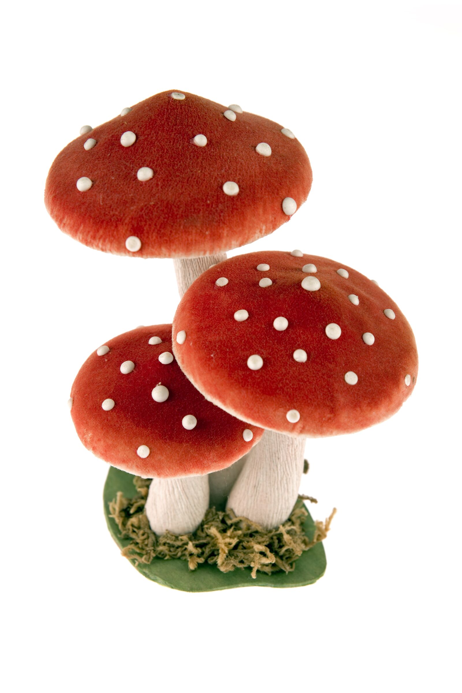 Nikon D800 sample photo. Toadstools, mushrooms, a few photography