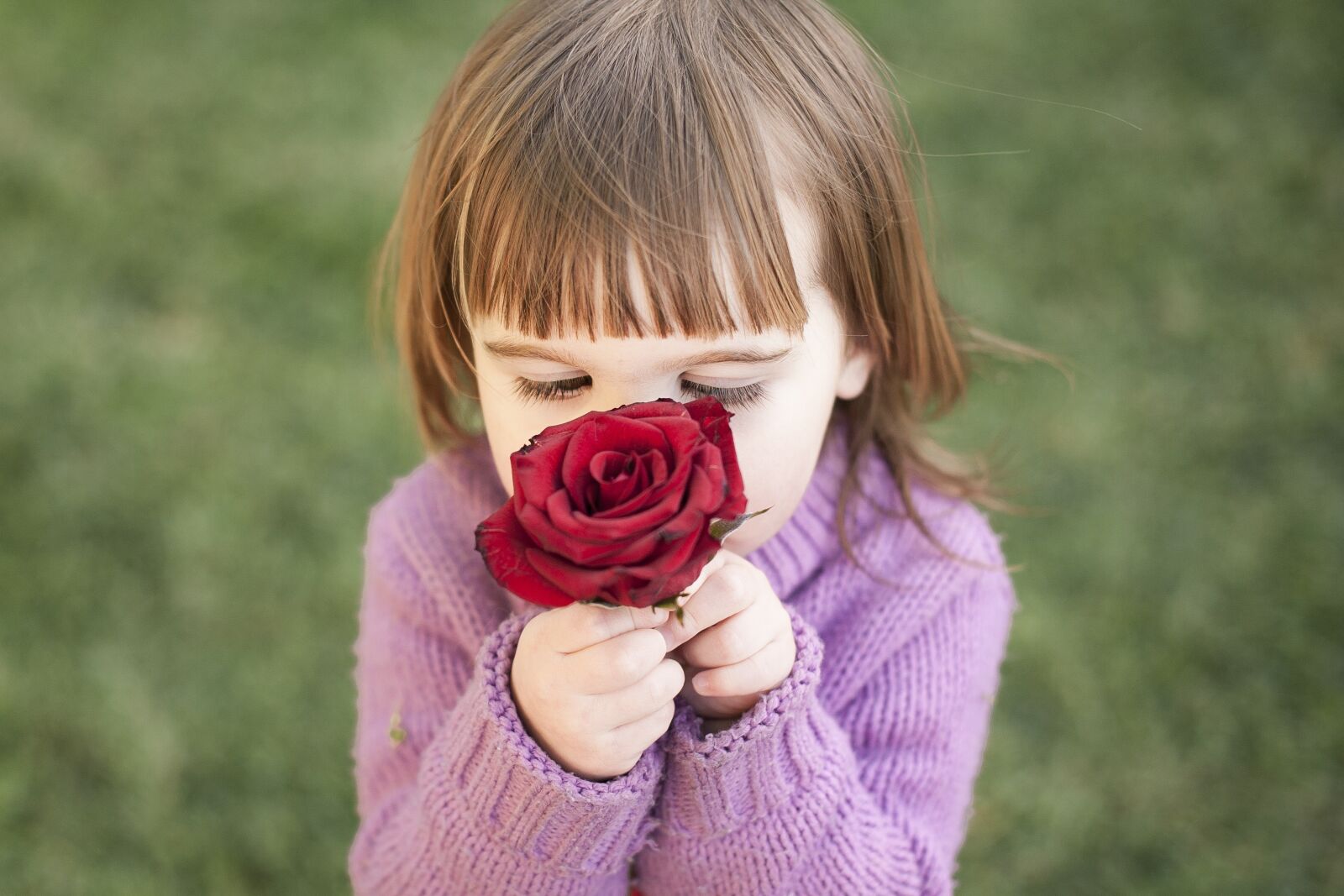 Nikon D700 sample photo. Rose, girl, red photography