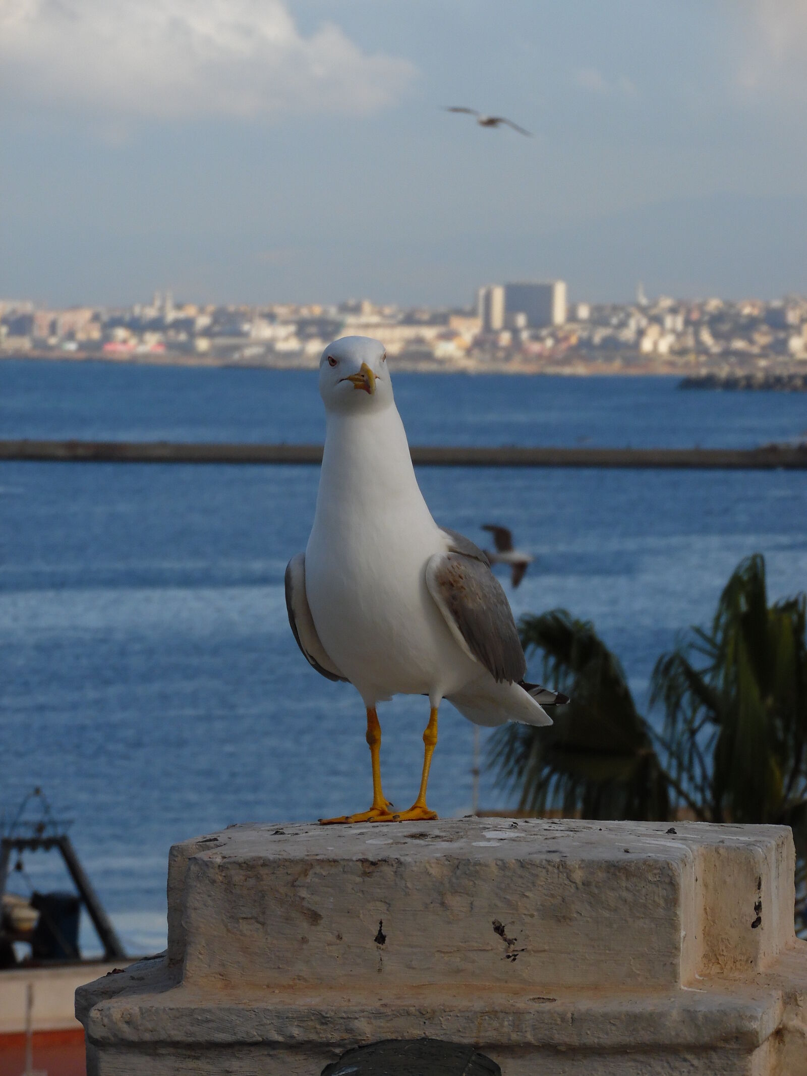 Samsung WB1100F/WB1101F/WB1102F sample photo