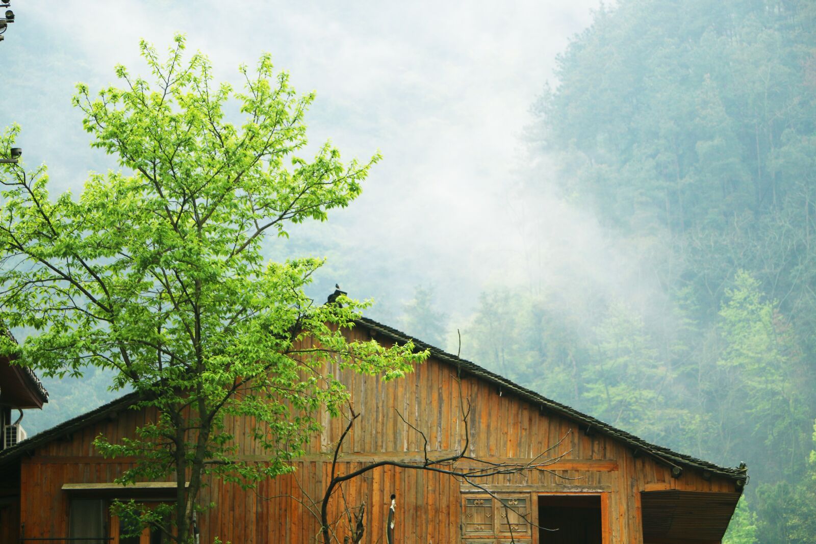 Canon EOS 70D sample photo. Log cabin, mist, mountain photography