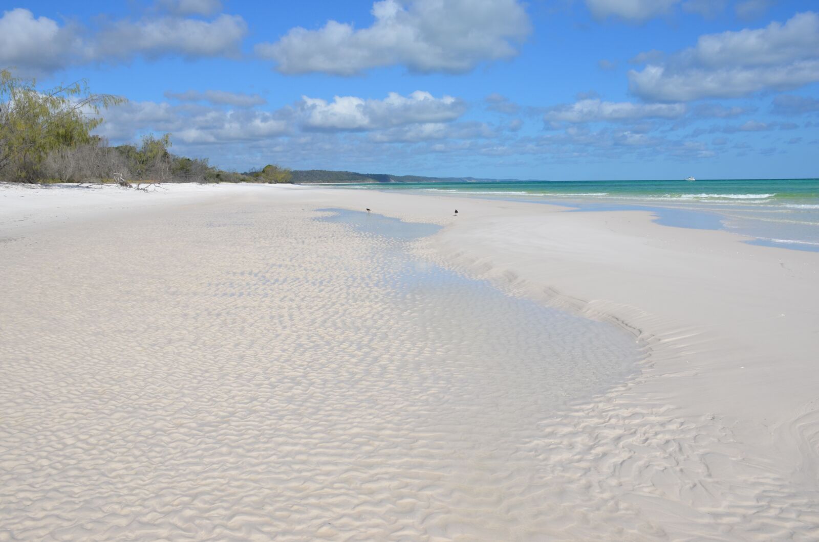 Nikon D7000 sample photo. Fraser island, beach, ripples photography