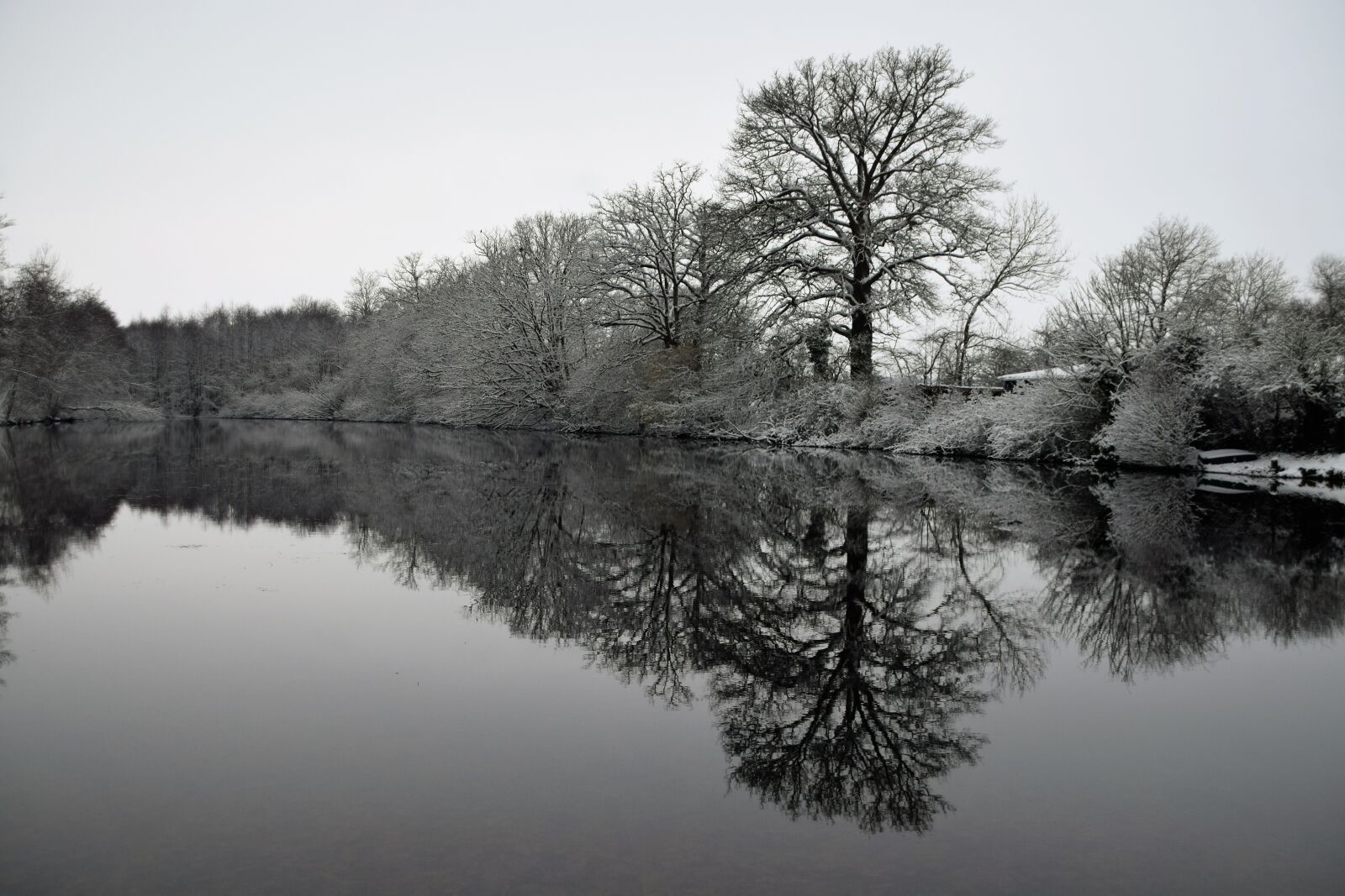 Nikon D5300 sample photo. Reflection, tree, landscape photography