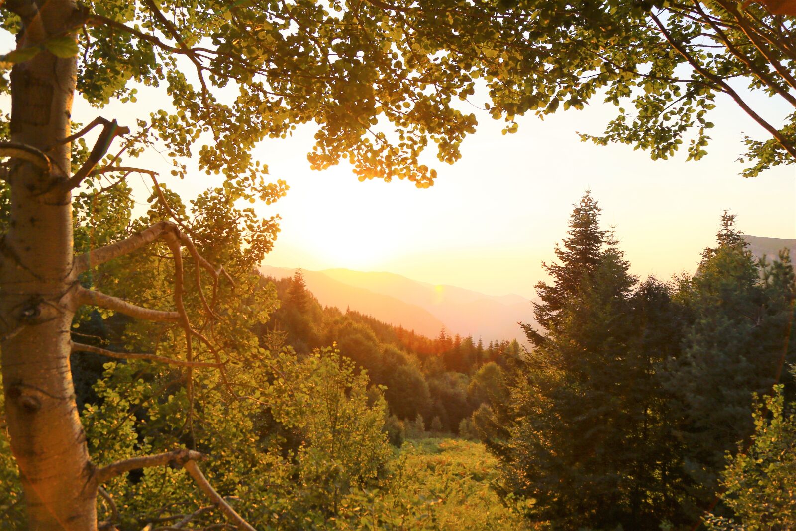 Canon EF 24-105mm F4L IS USM sample photo. Landscape, sunset, in the photography