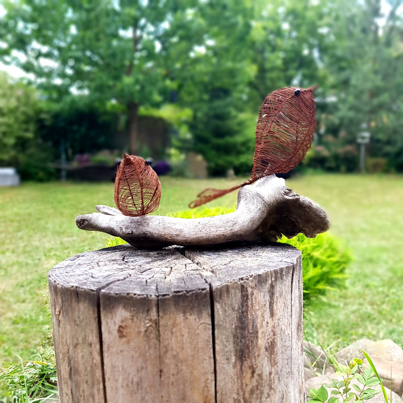 Samsung Galaxy S8 sample photo. Decoration, wire, birds photography