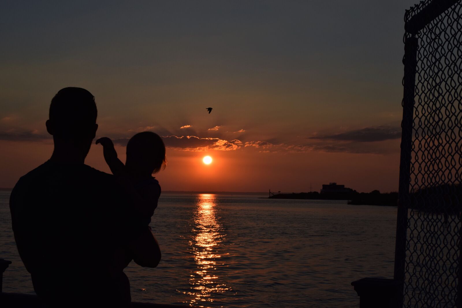 Nikon D3300 sample photo. Baby, beach, bird, child photography
