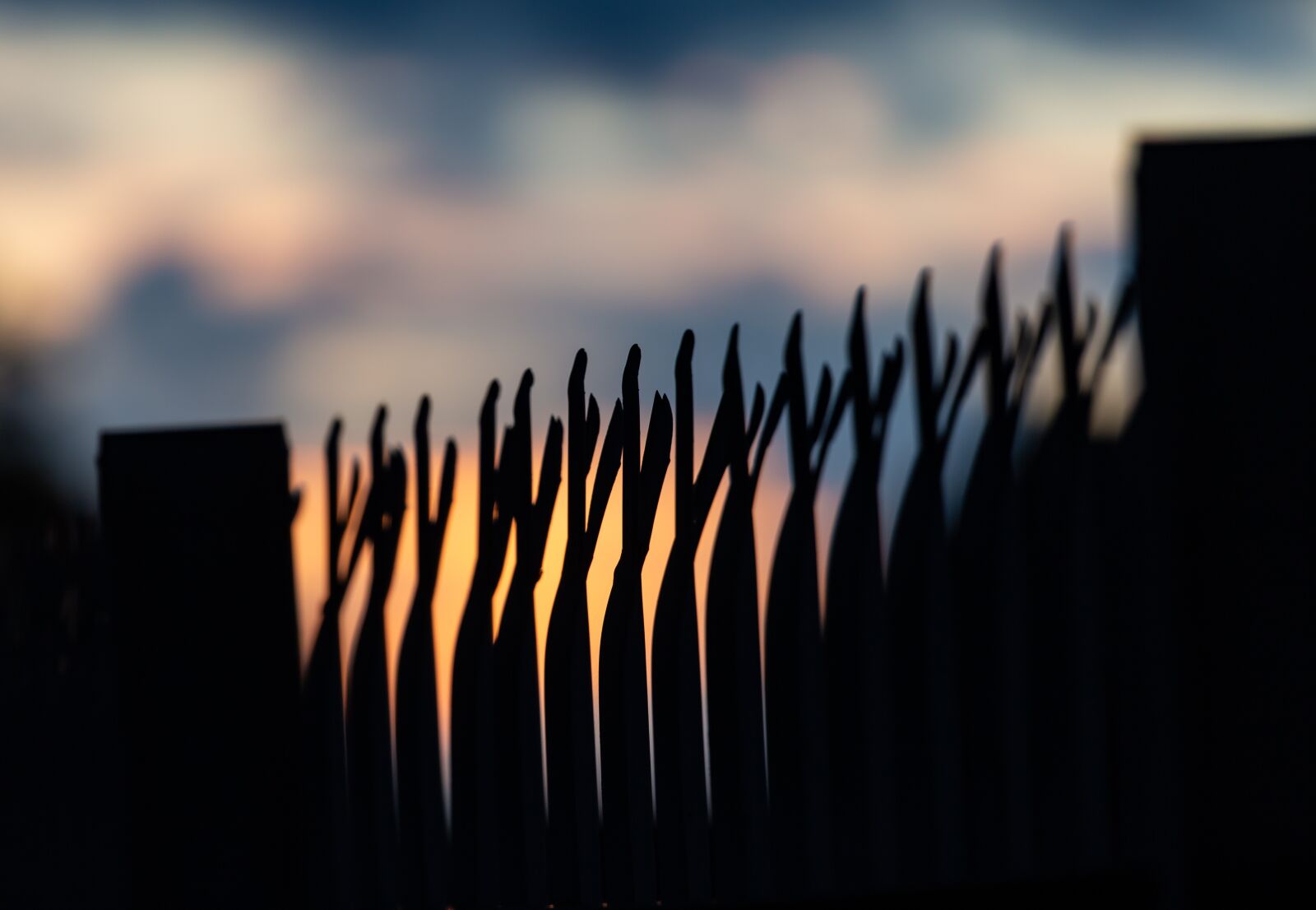Canon EOS 5D Mark III + Canon EF 100-400mm F4.5-5.6L IS II USM sample photo. Fence, sunset, metal spikes photography