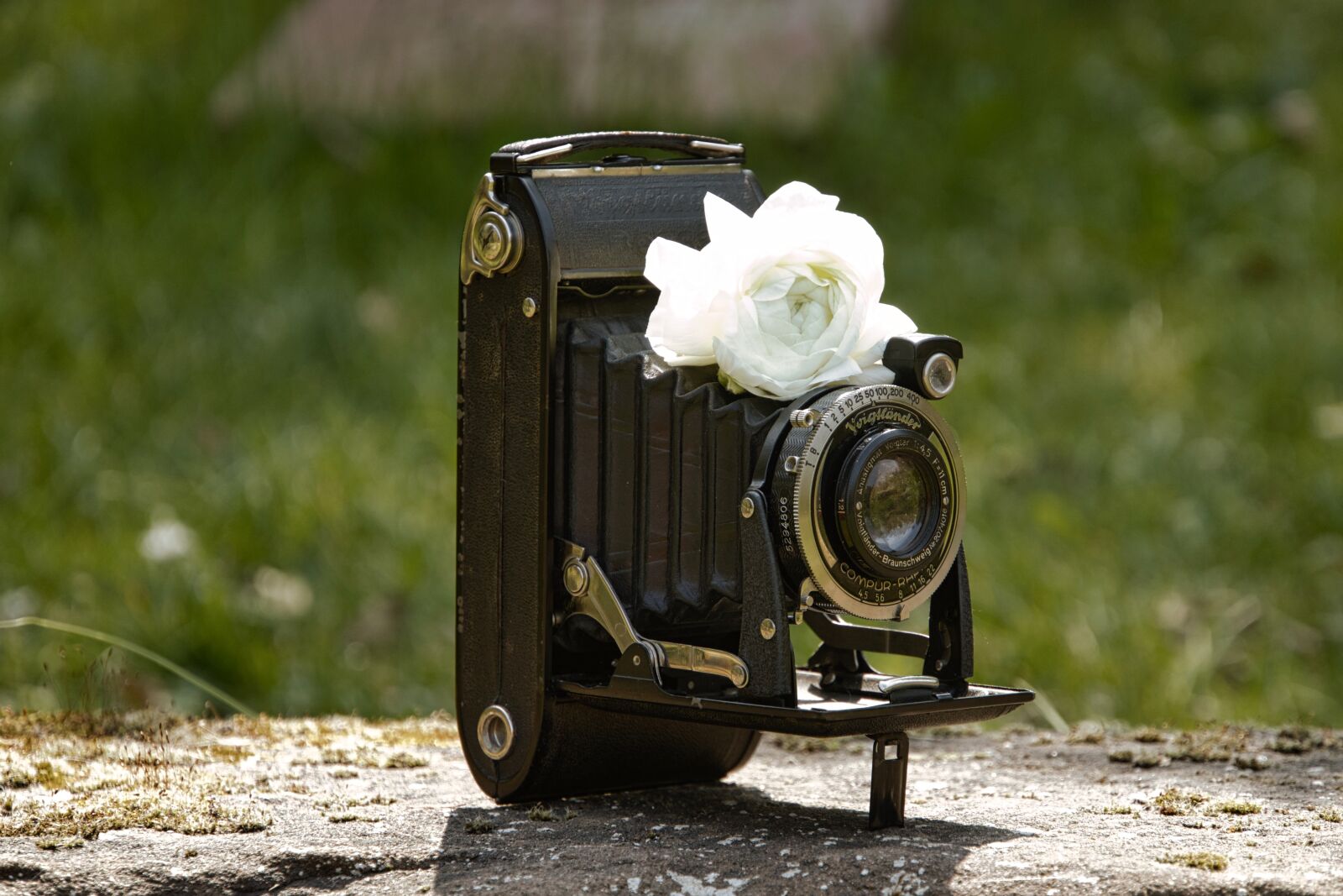 Sony a6400 sample photo. Old camera, retro, photo photography