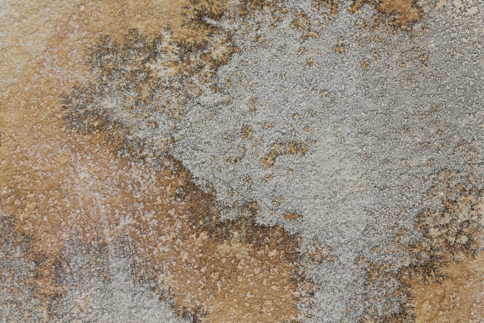 Canon EOS 1100D (EOS Rebel T3 / EOS Kiss X50) sample photo. Texture, rock, nature photography