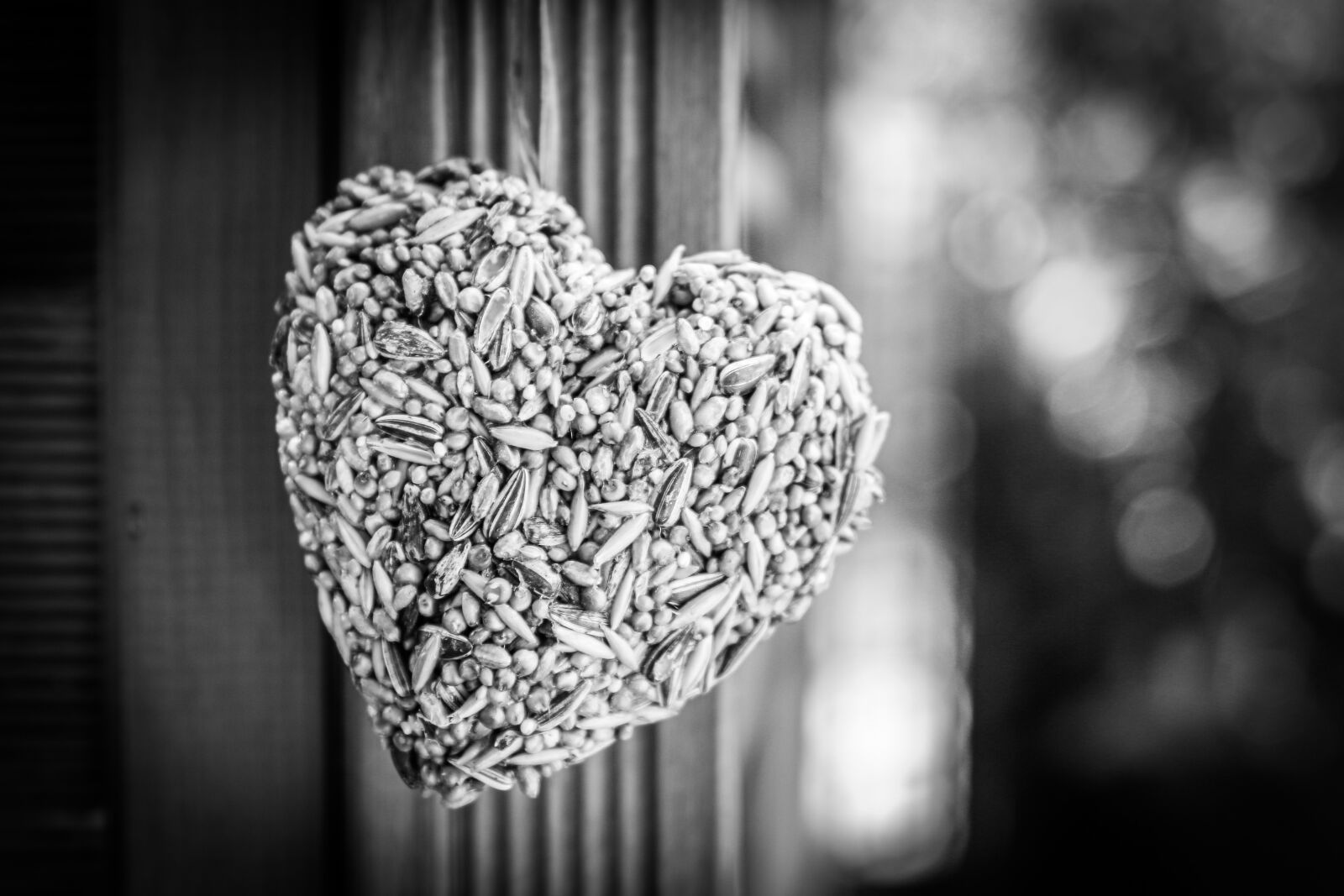 Canon EOS 70D sample photo. Heart, bird seed, in photography