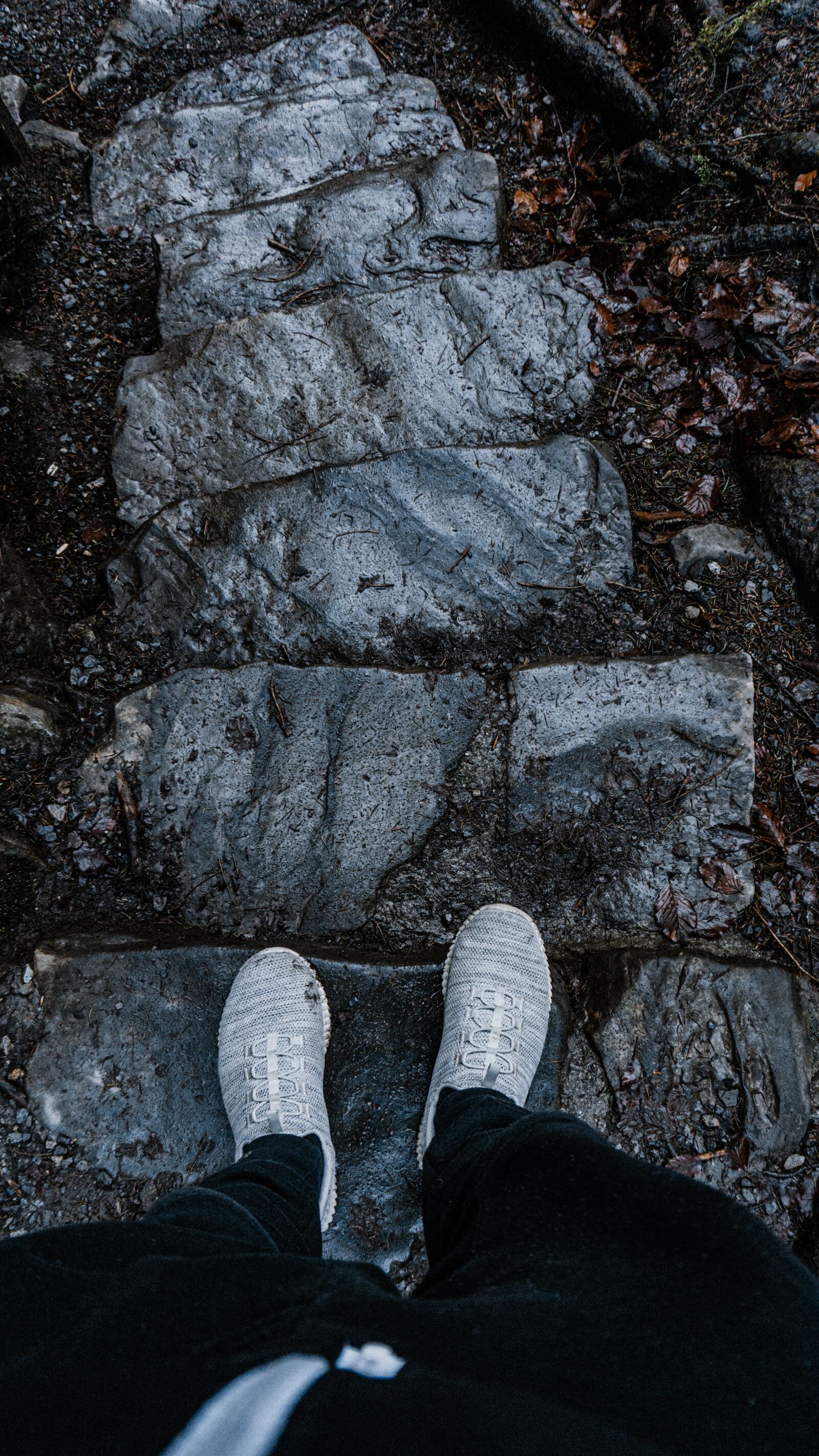 Sony a6000 sample photo. Stairs, away, path photography