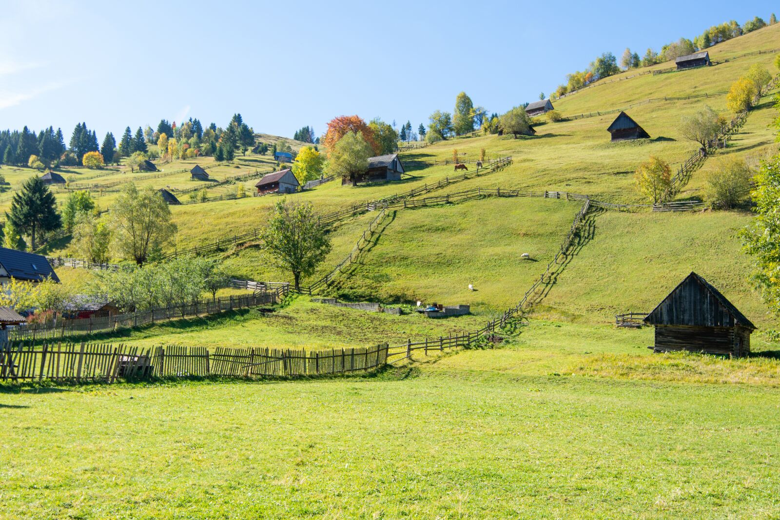 Tamron SP 15-30mm F2.8 Di VC USD sample photo. Landscape, countryside, nature photography