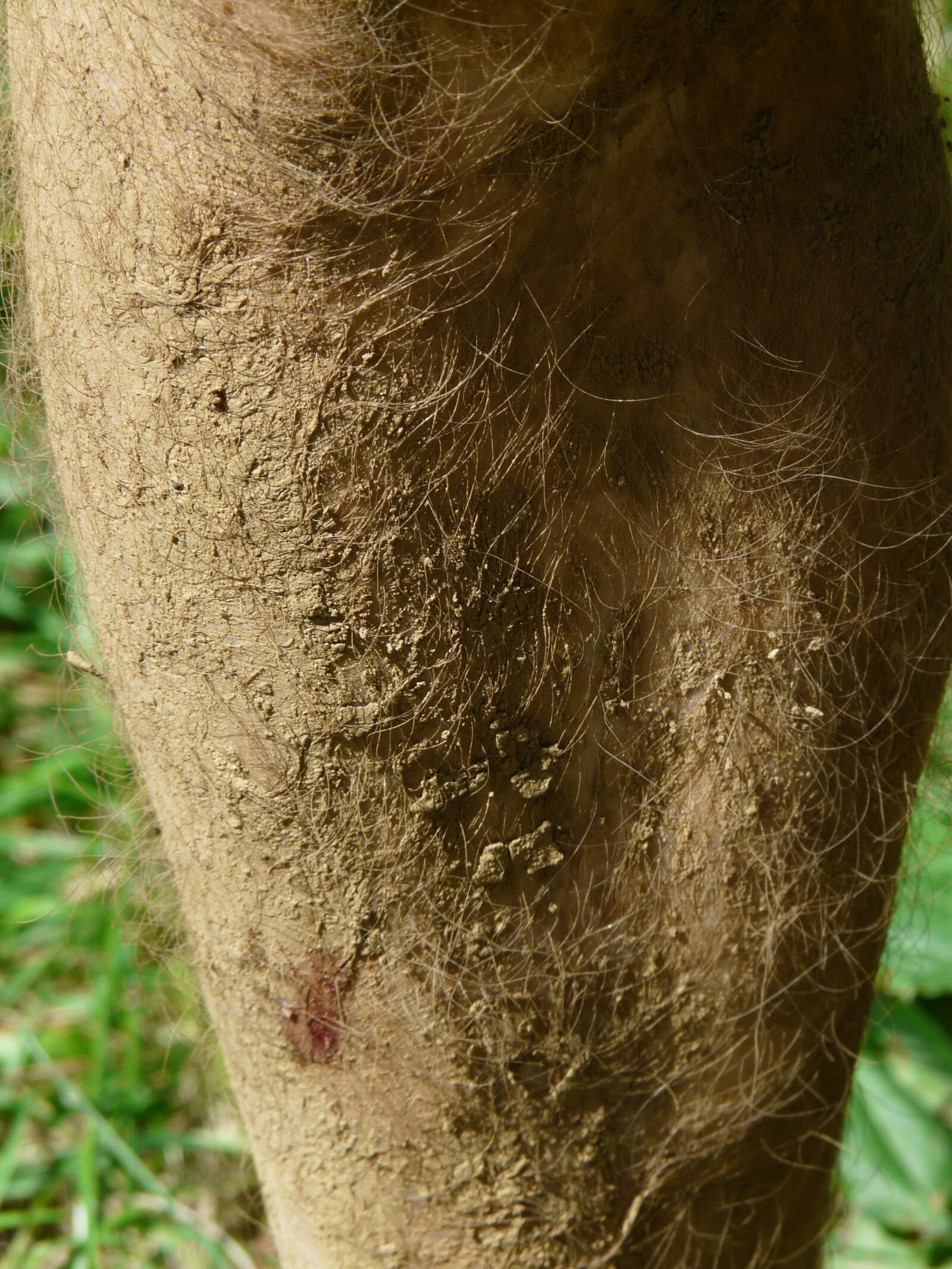 Panasonic DMC-FZ18 sample photo. Dirty, clay bread crumbs photography