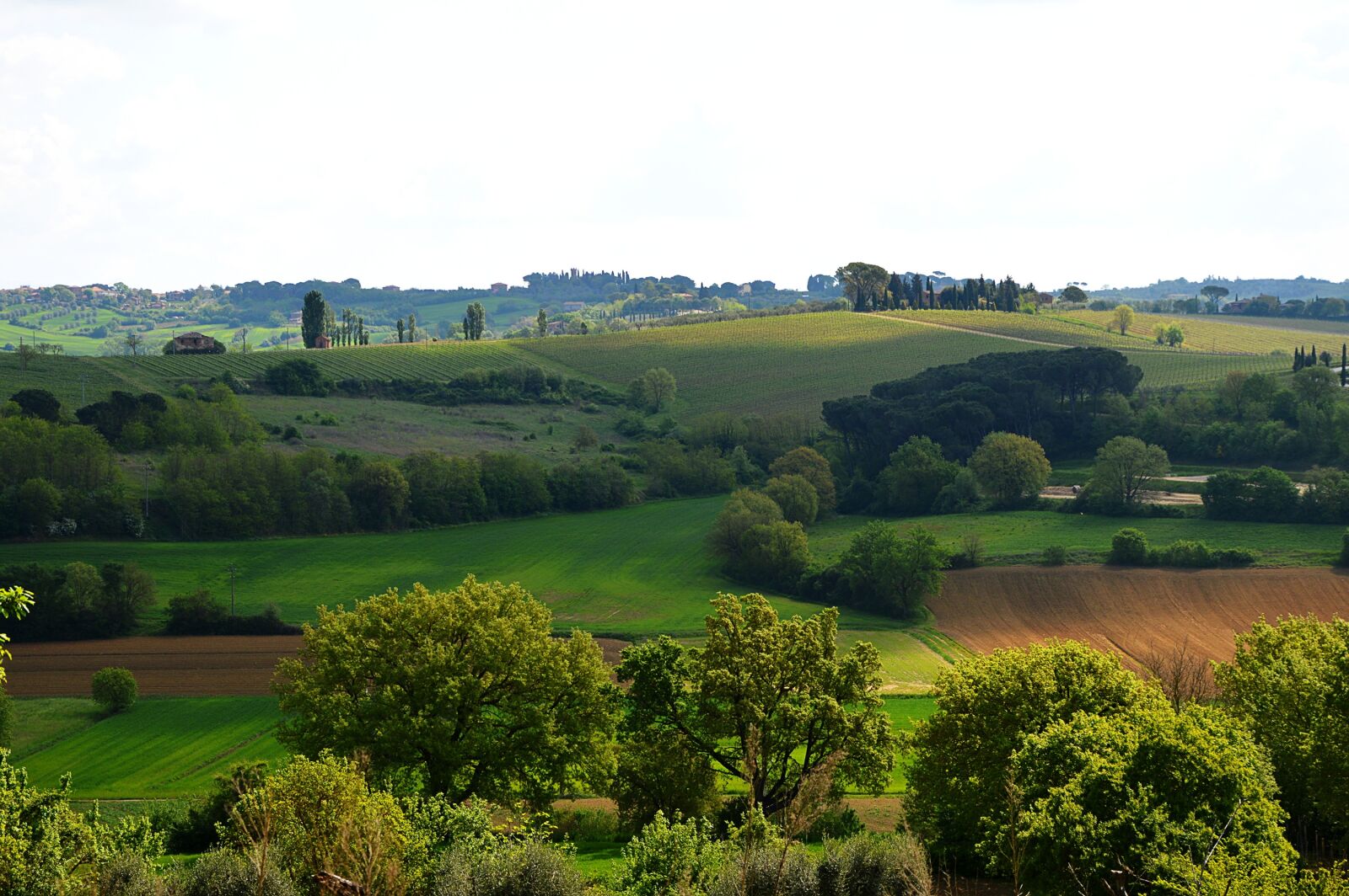 Nikon D3200 sample photo. Italy, toscana, landscape photography