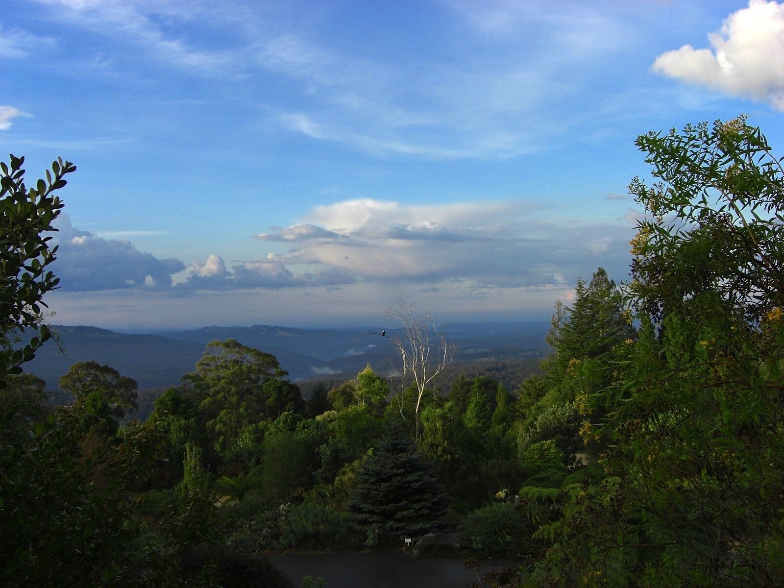 CASIO EX-Z1050 sample photo. Australia, landscape, sky photography