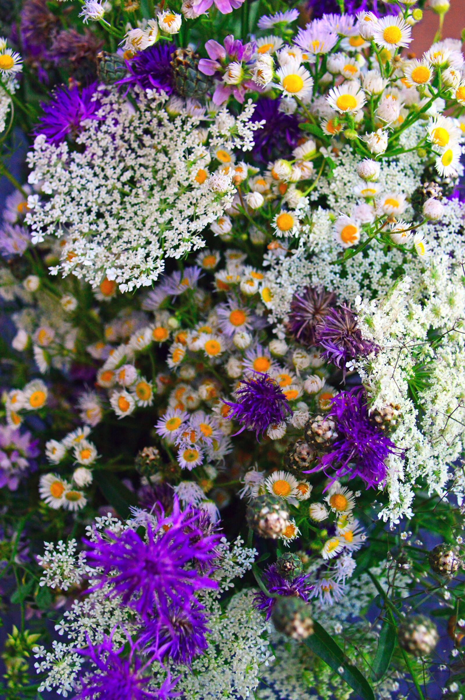 Nikon D3200 sample photo. Color, bouquet, summer flowers photography