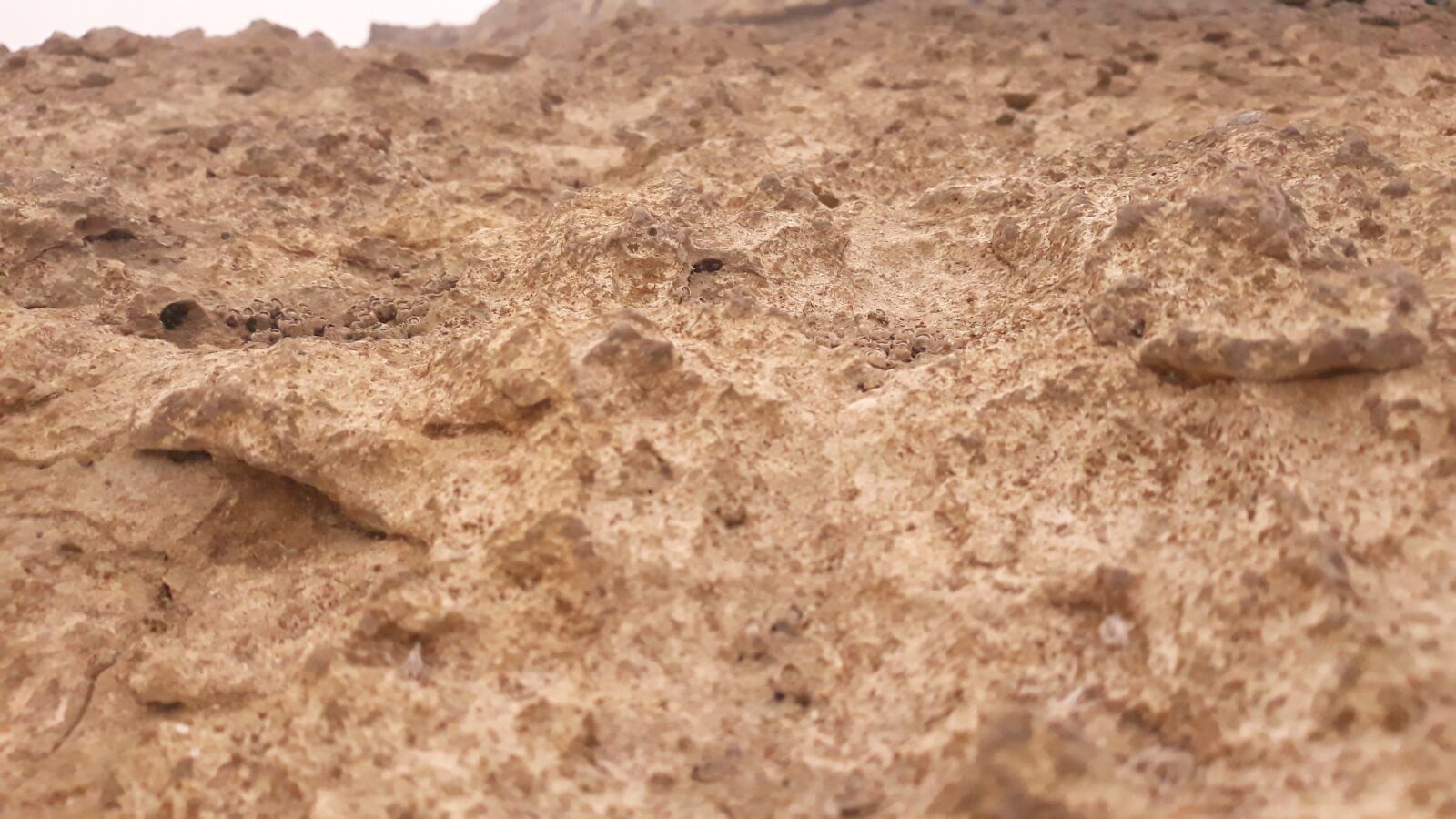 Samsung Galaxy J5 Pro sample photo. Stone, texture, rocks photography