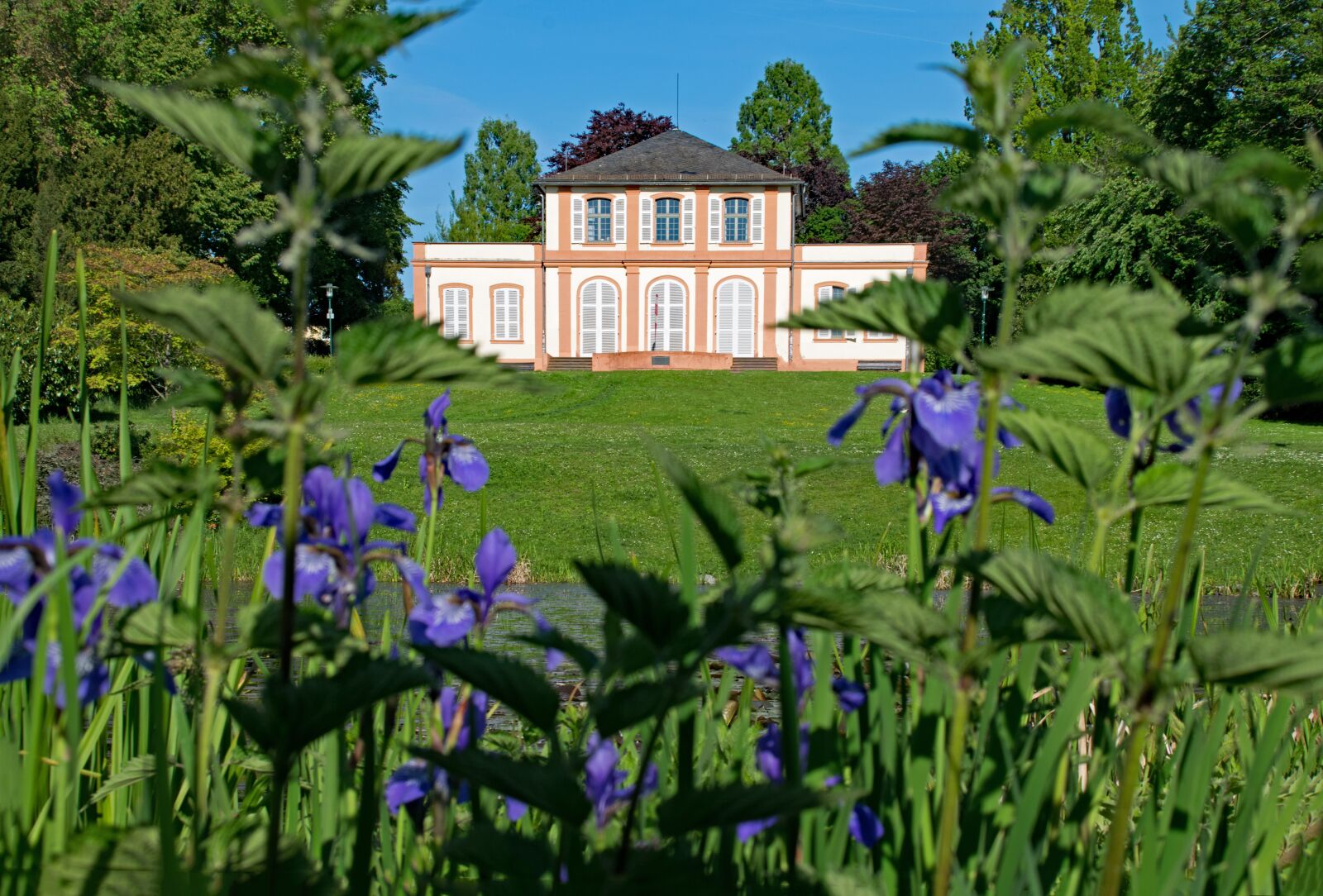 Nikon D5300 sample photo. Prince-emil-garden, darmstadt, hesse photography