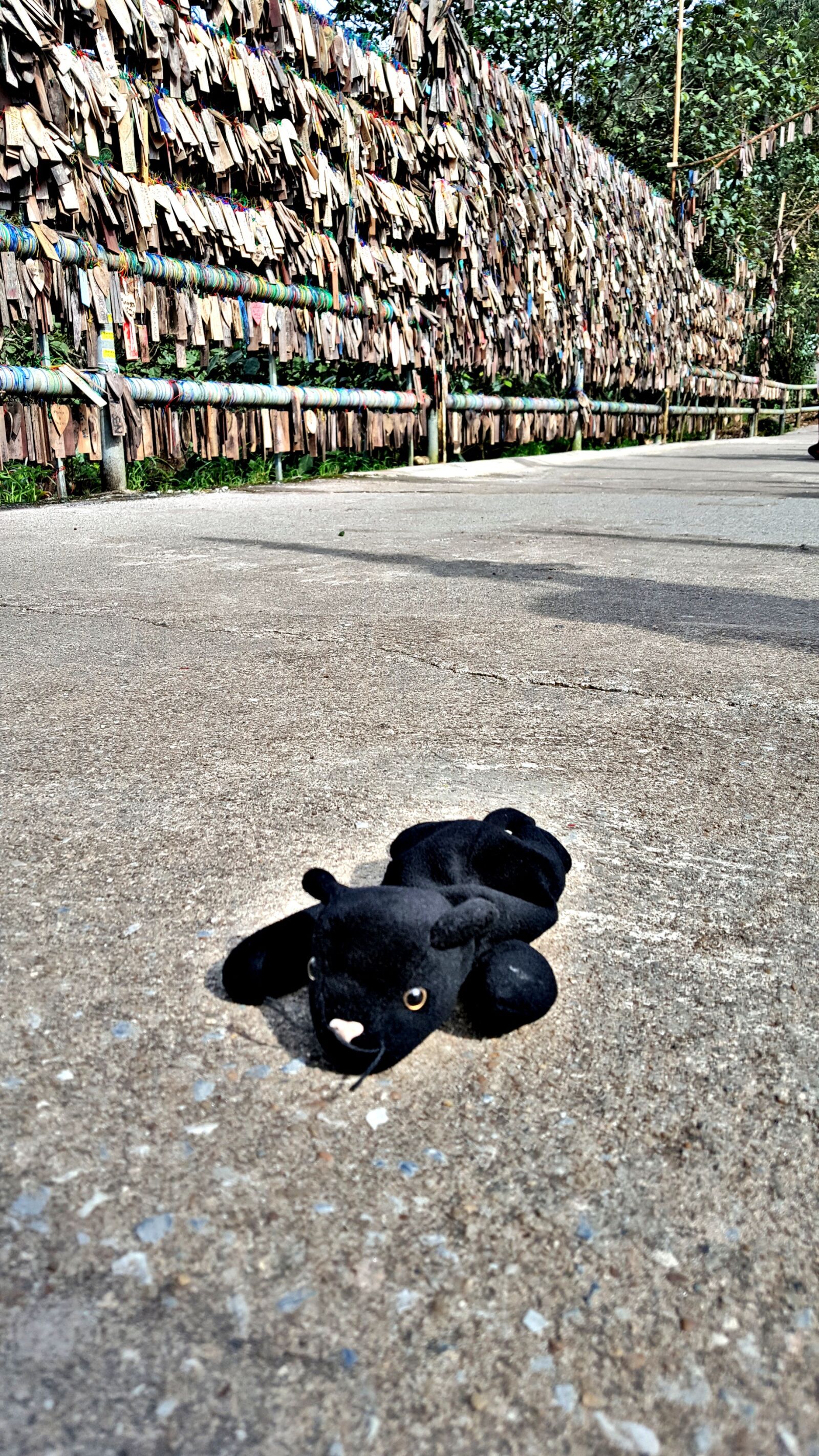 Samsung Galaxy Note5 sample photo. Tour, thailand, bing blog photography