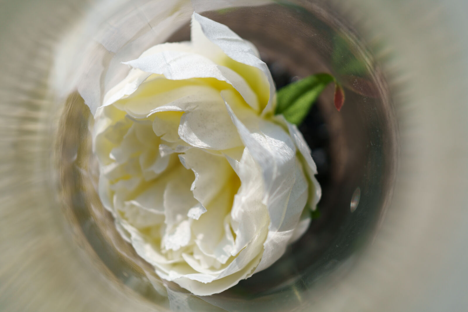 Sony a7R V sample photo. Faux flower photography